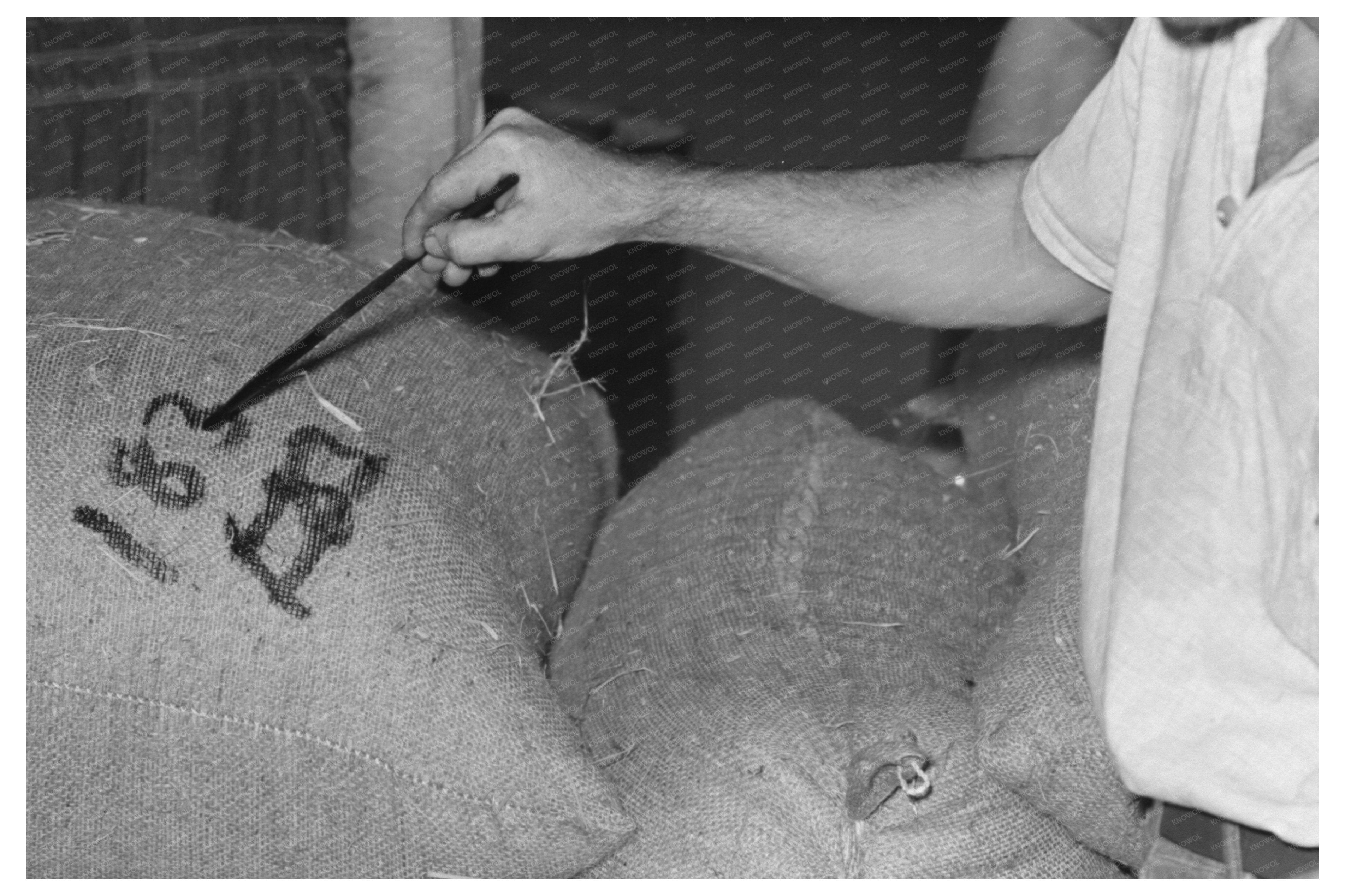 Workers Painting Rice Sacks at Louisiana Mill 1938