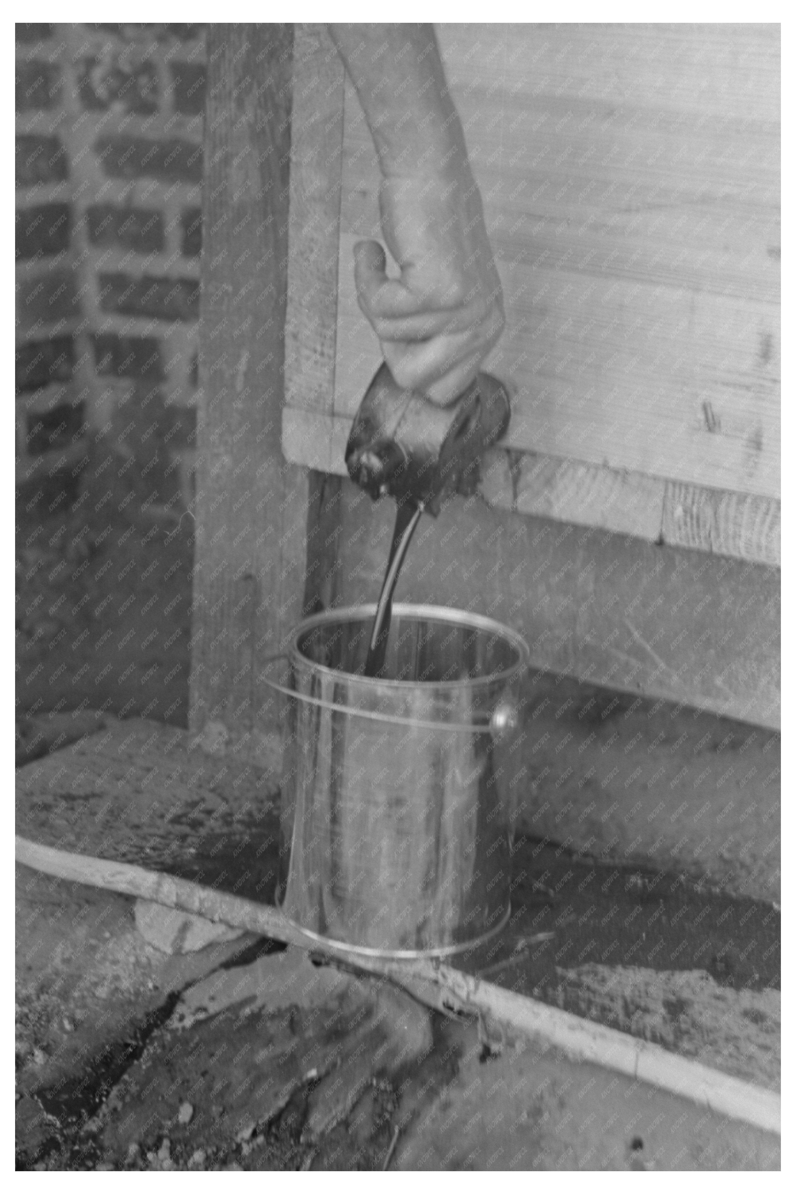 Sorghum Mill Lake Dick Project Arkansas 1938