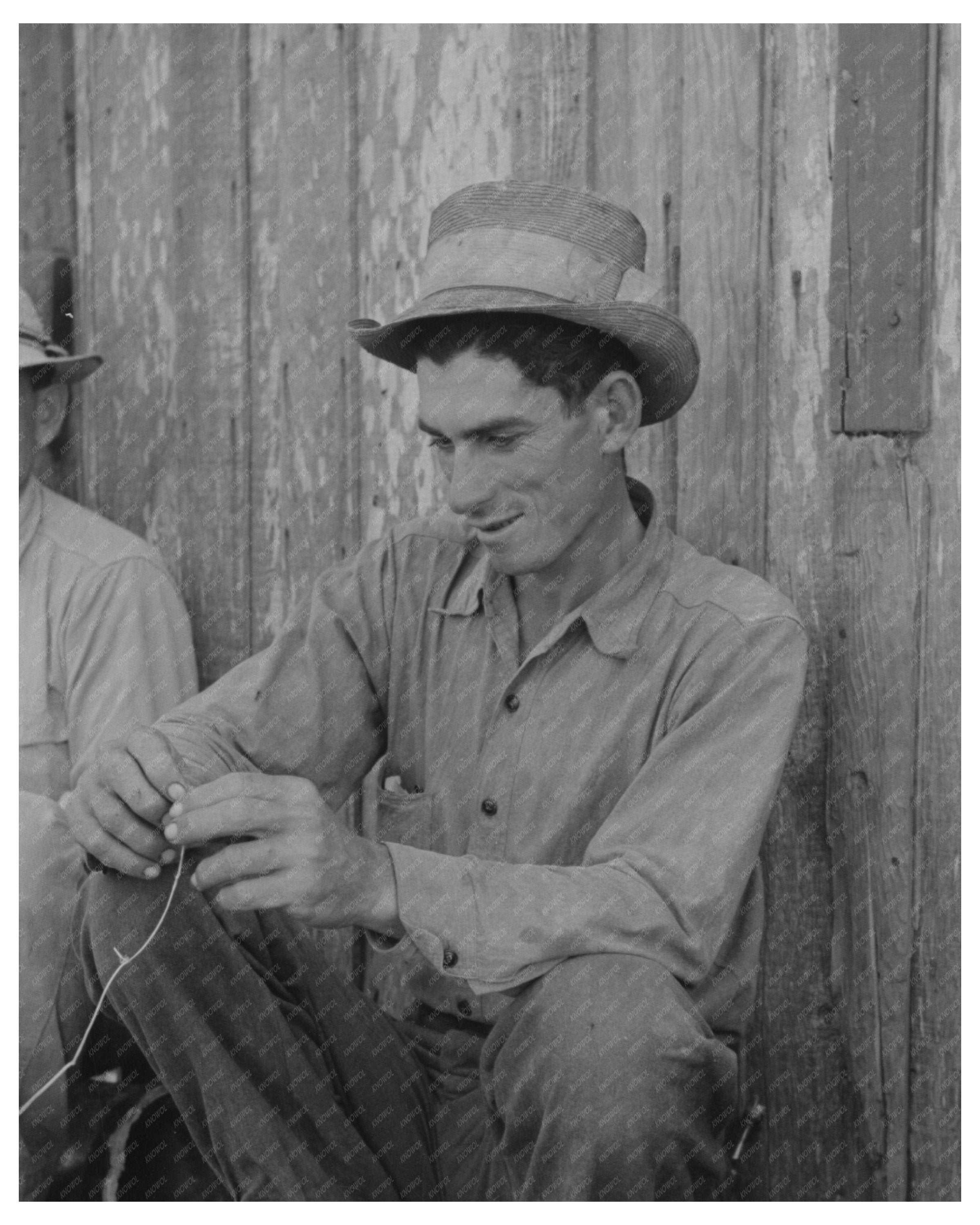 Louisiana Sugarcane Workers October 1938 Historical Image