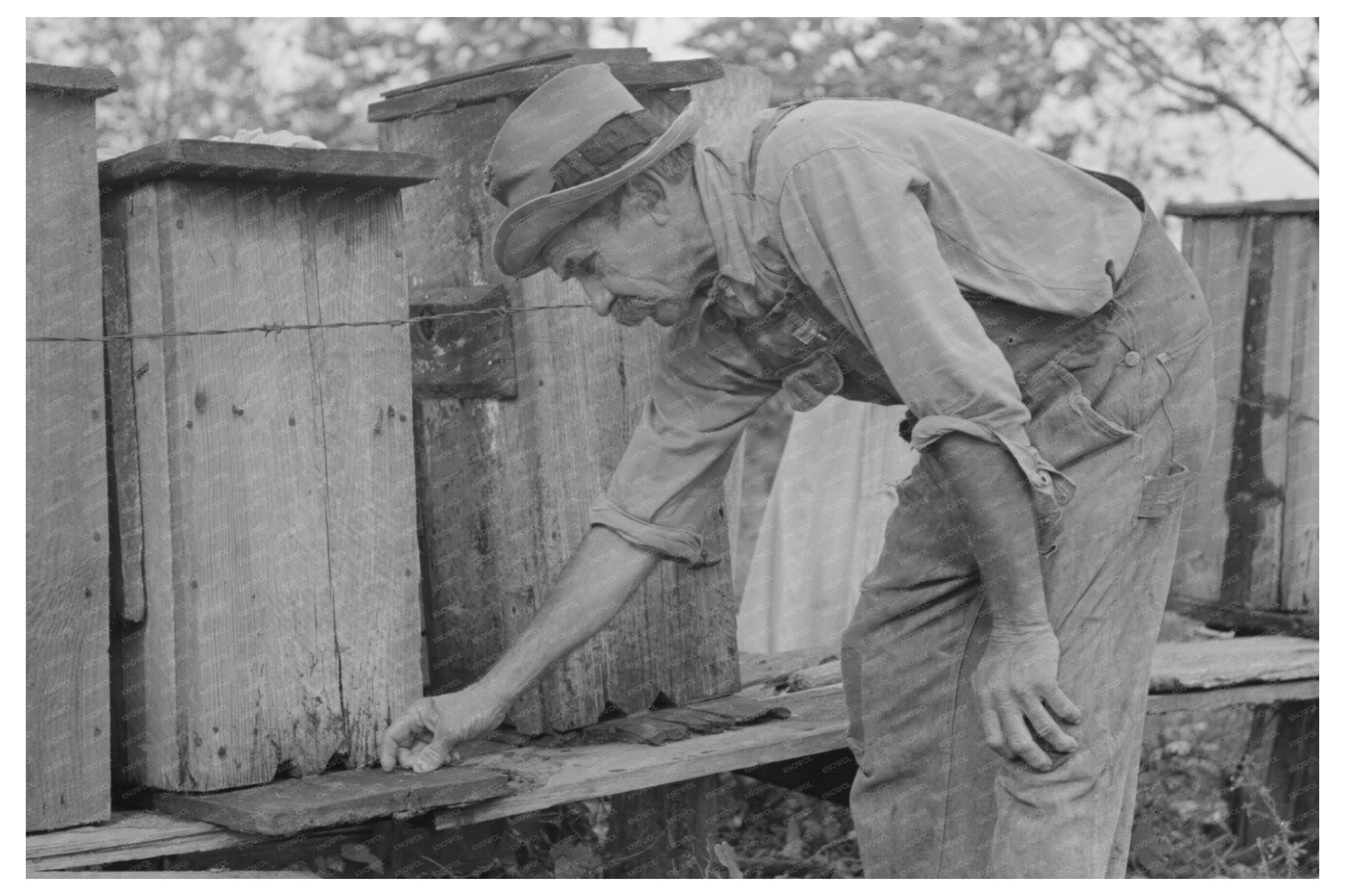 William E Smith inspecting beehives Louisiana 1938