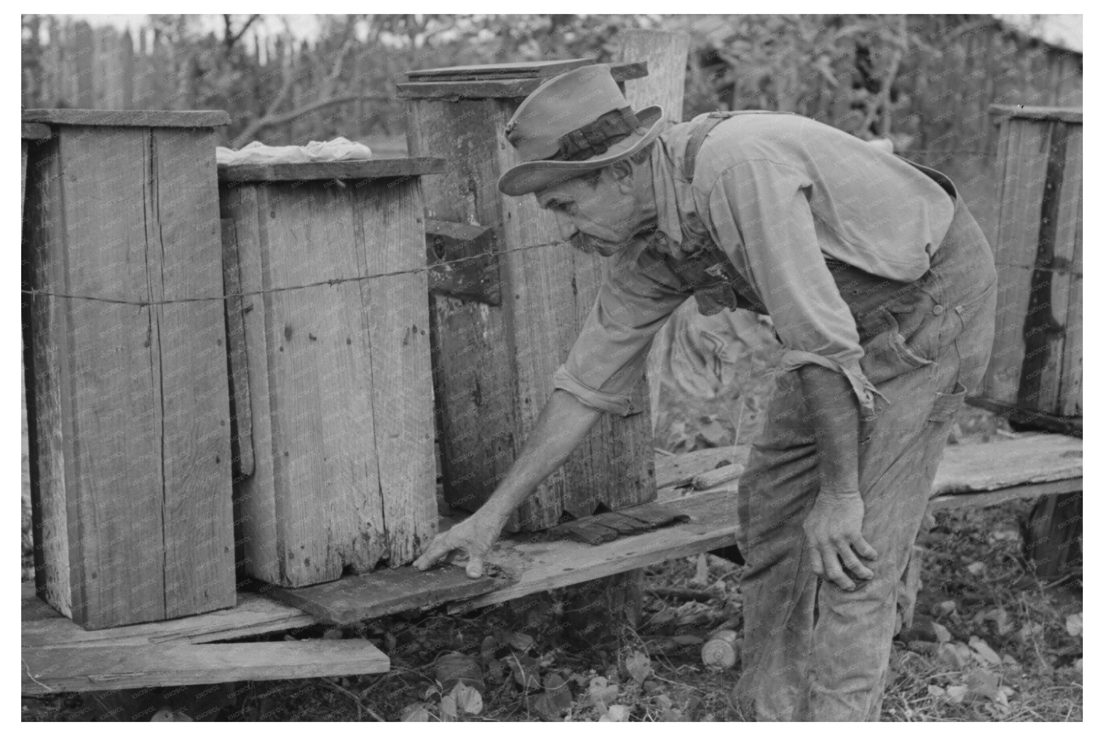 William E Smith Inspects Beehives Louisiana 1938