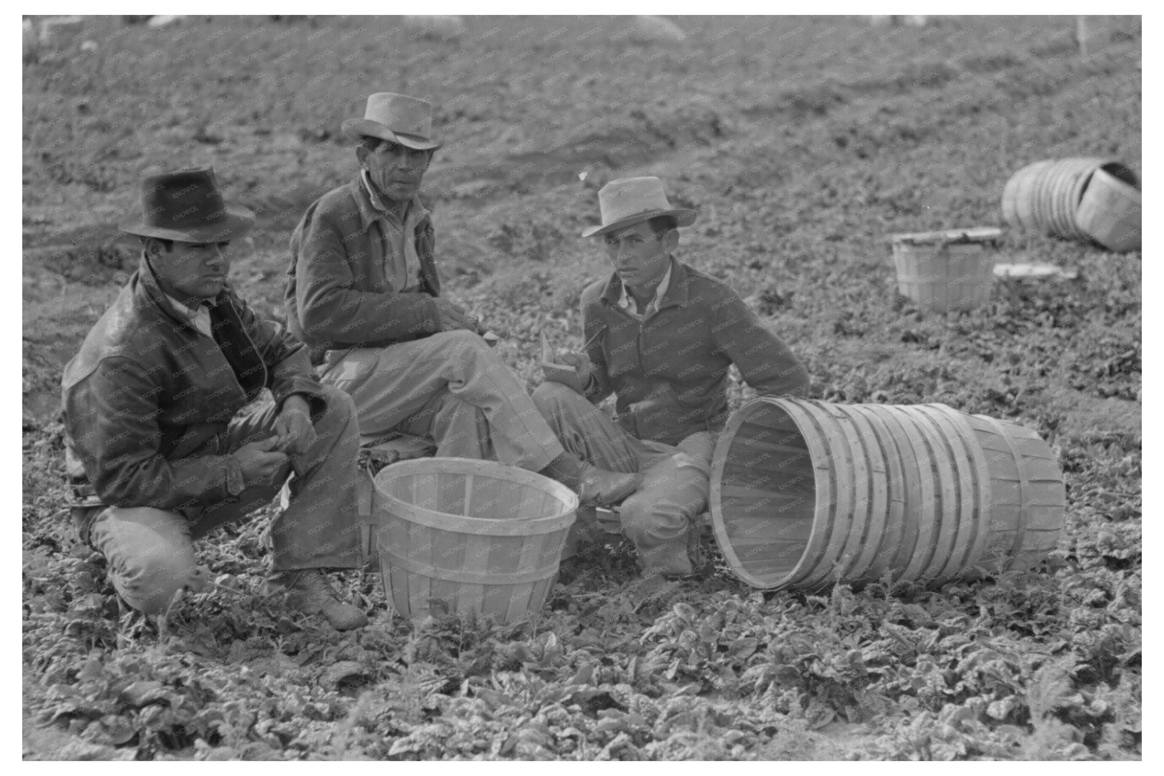 Mexican Labor Contractors in La Pryor Texas 1939