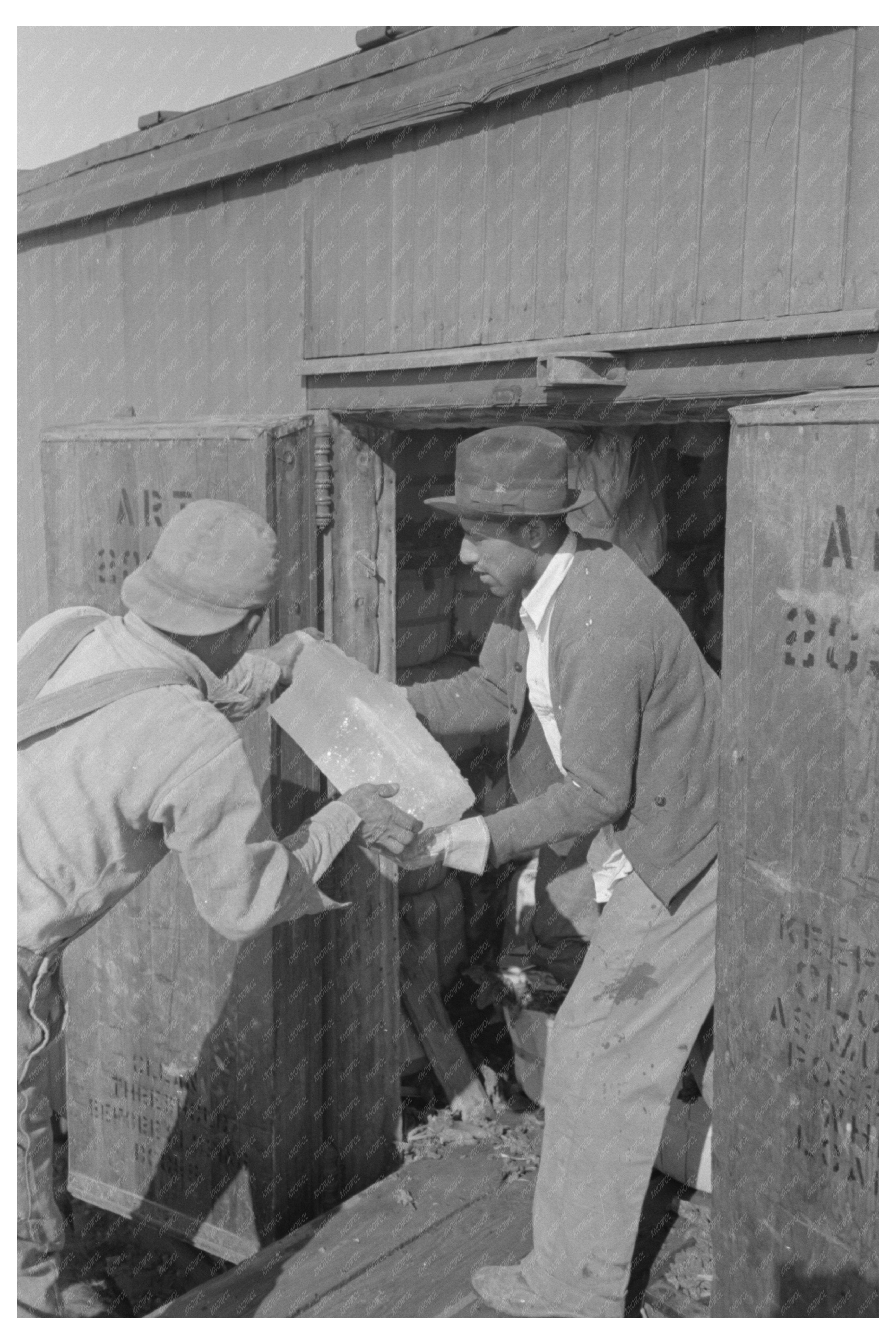 Icing Refrigerator Car at La Pryor Texas 1939