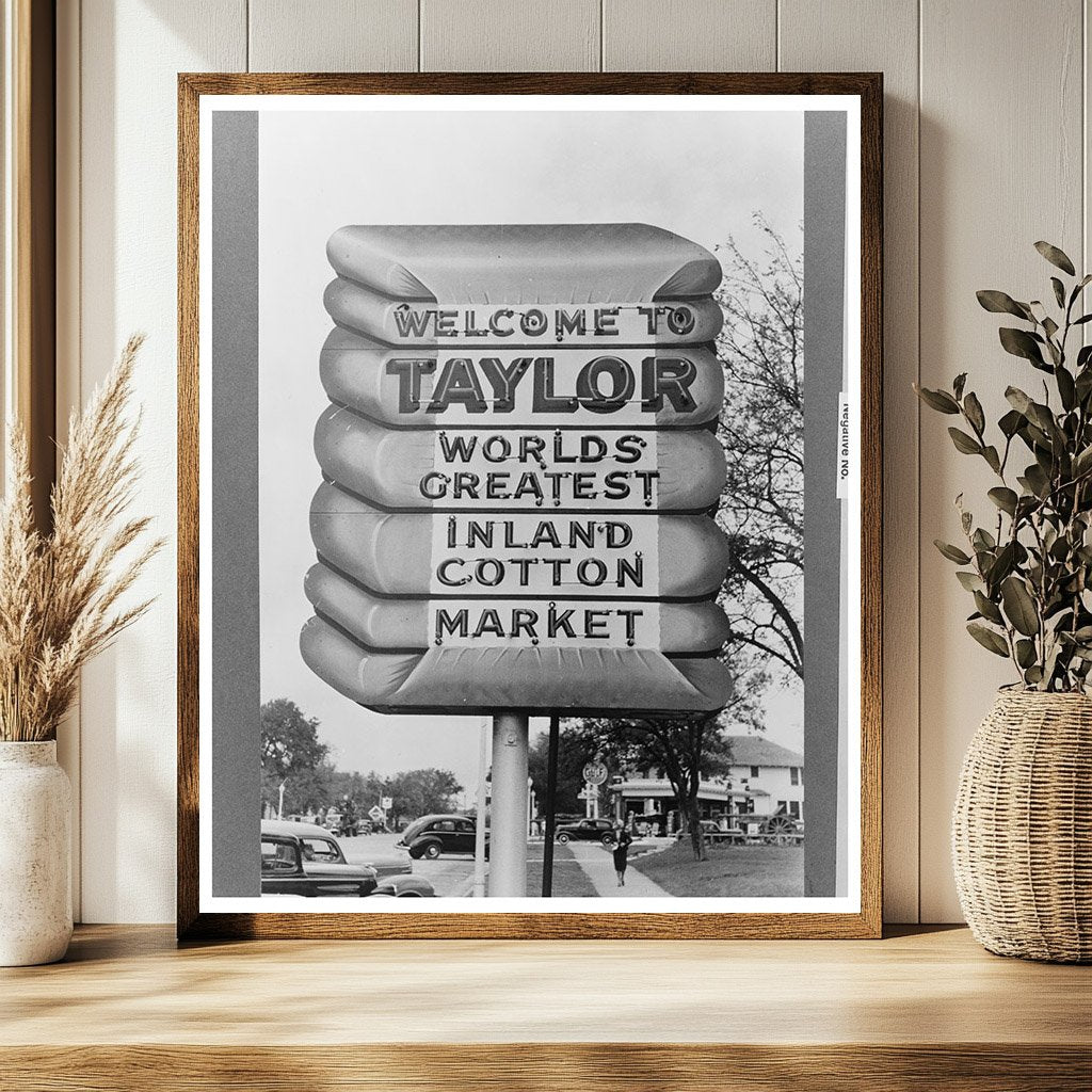 Cotton Scene in Taylor Texas April 1939