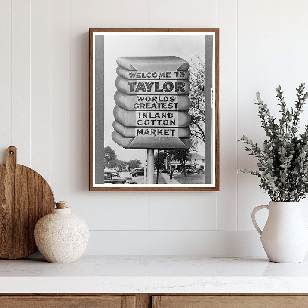 Cotton Scene in Taylor Texas April 1939