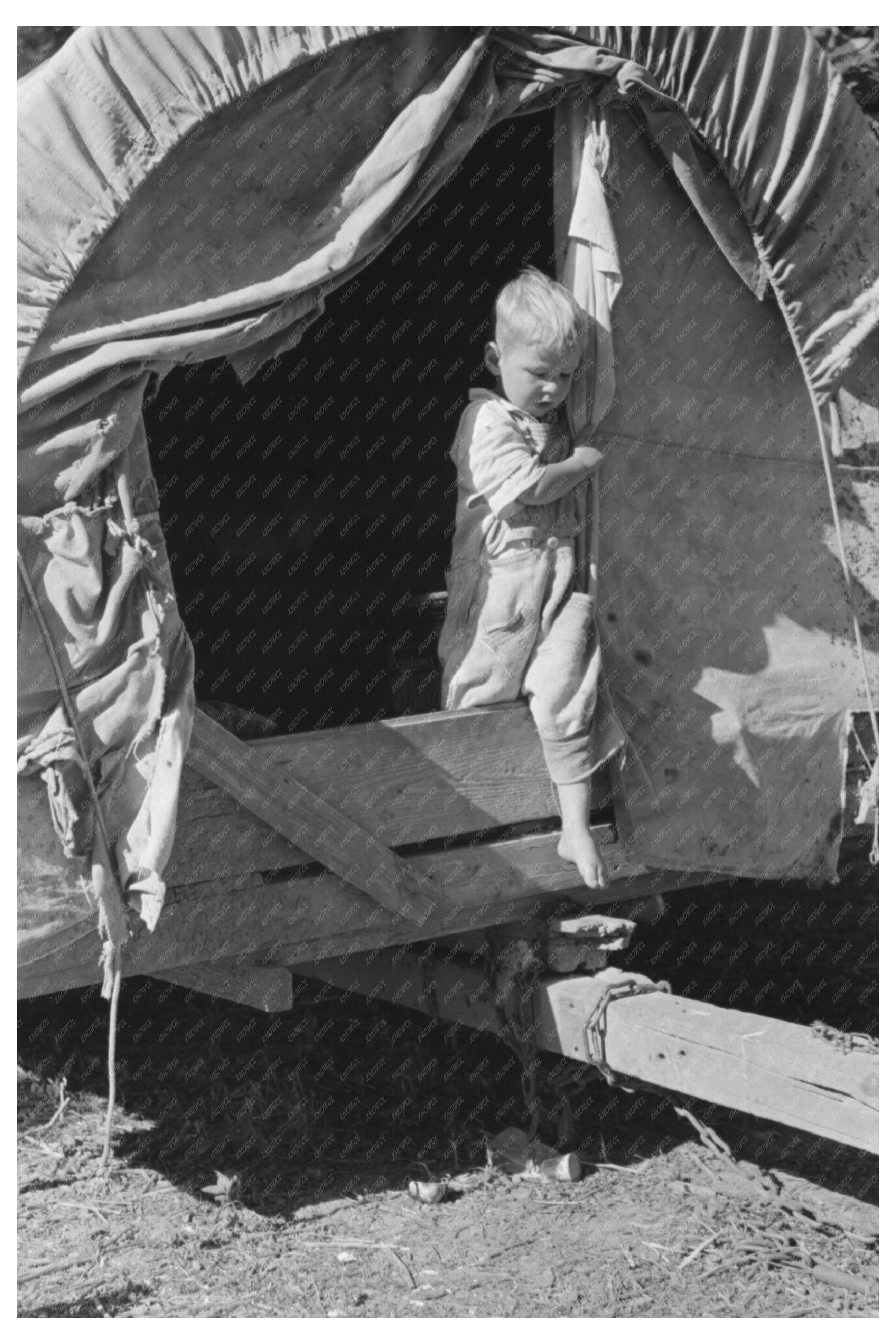 Young Boy Exiting Covered Wagon Trailer Oklahoma 1939