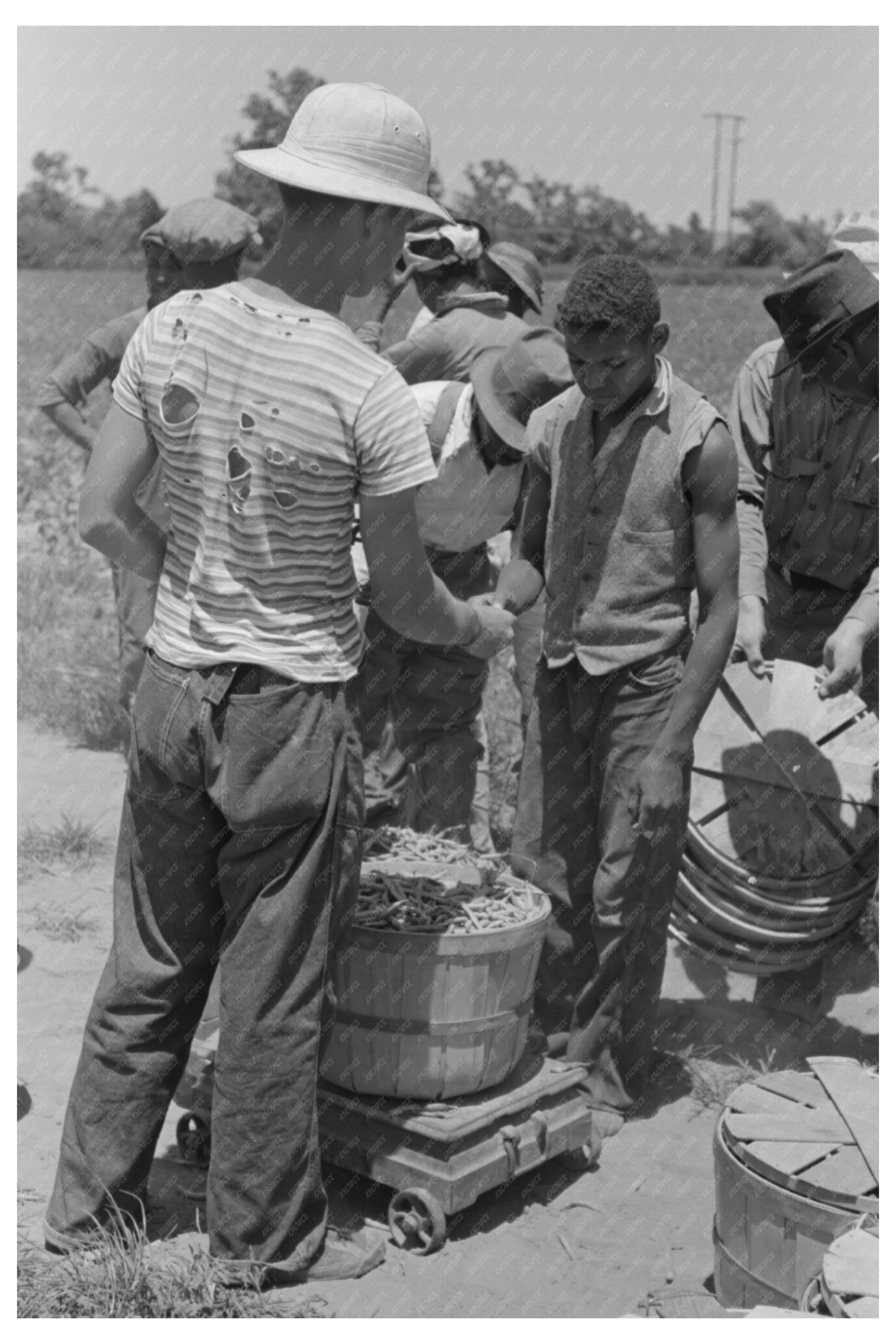 Muskogee Oklahoma Workers Receiving Bean Picking Checks 1939