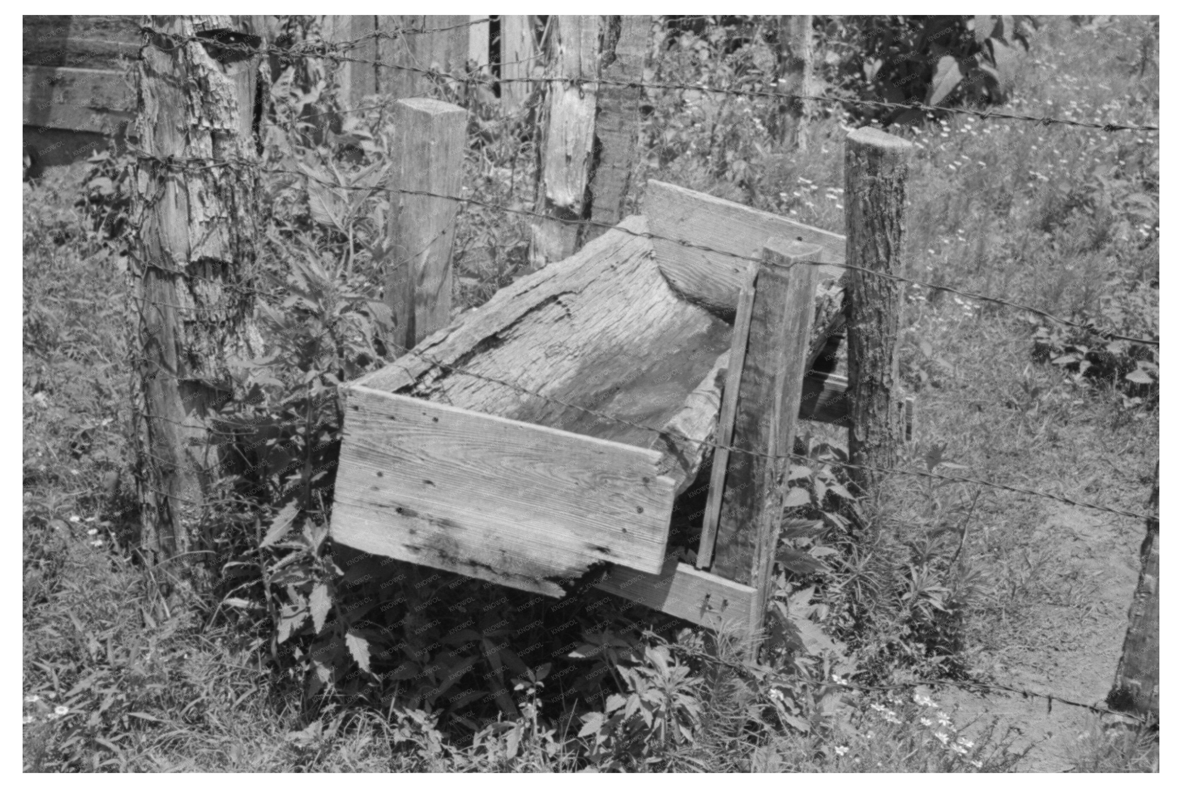 WPA Tenant Farmer Watering Trough Sallisaw Oklahoma 1939