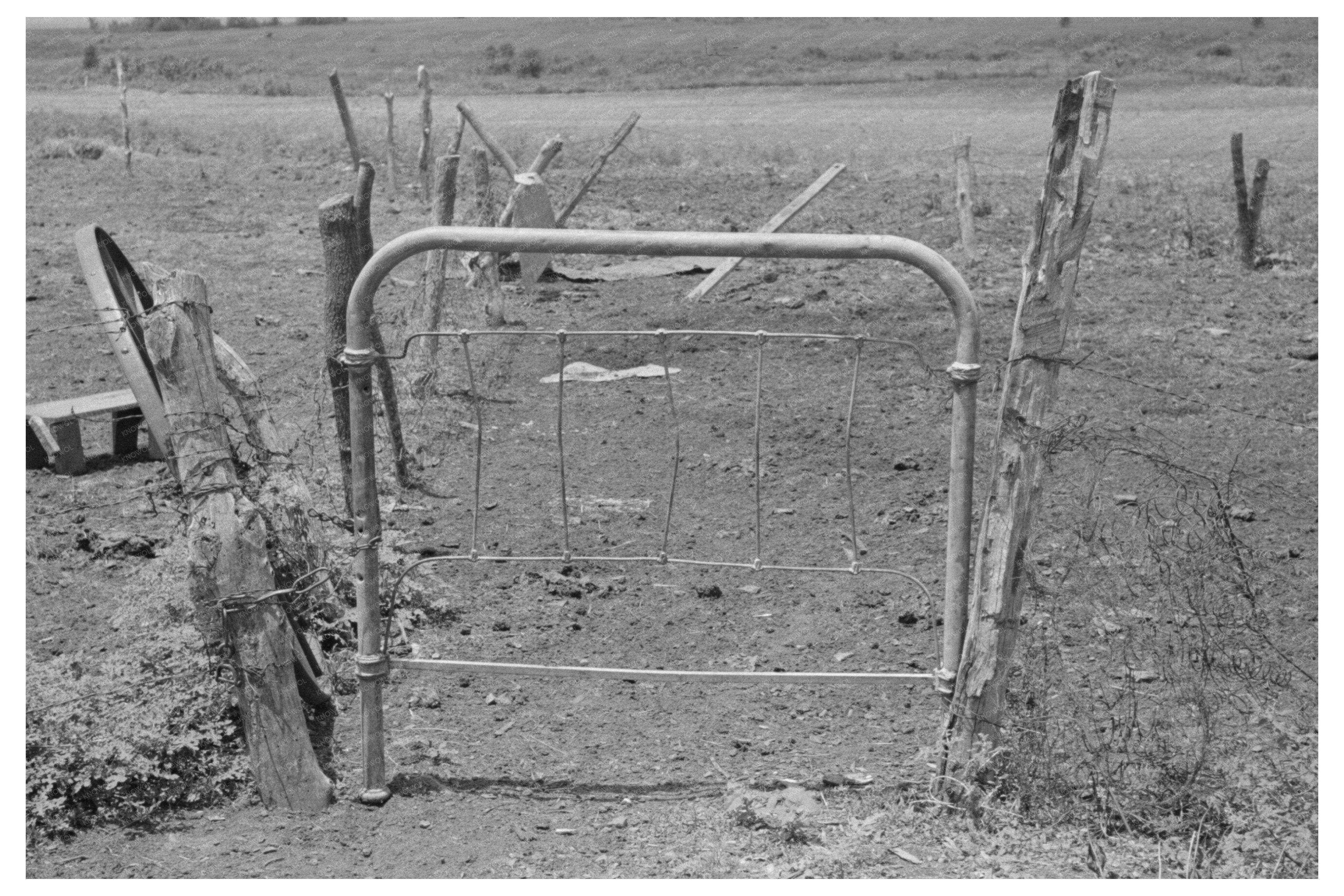 Fence and Gate Construction on Tenant Farm June 1939