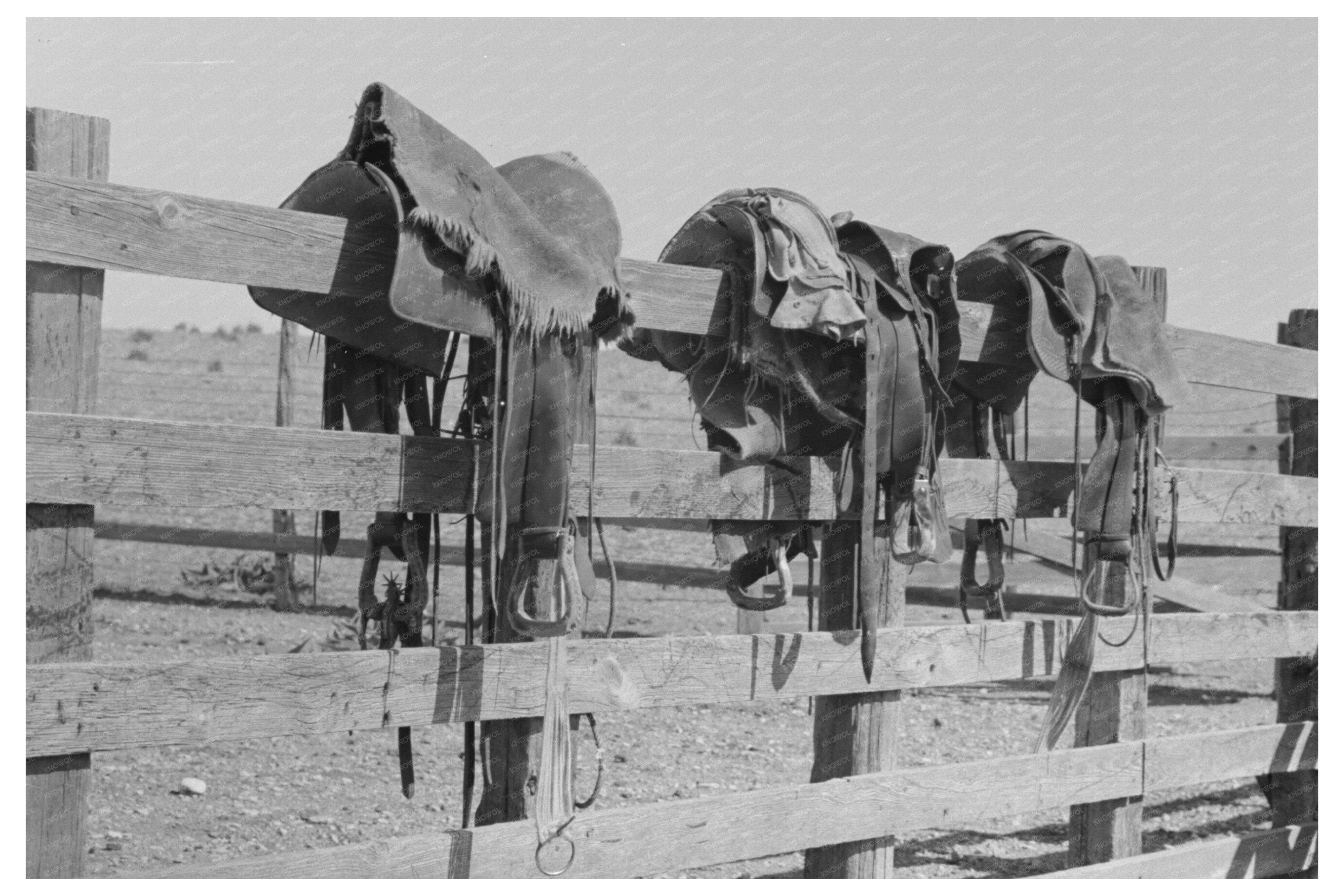 Vintage Saddles on Corral Fence Marfa Texas May 1939