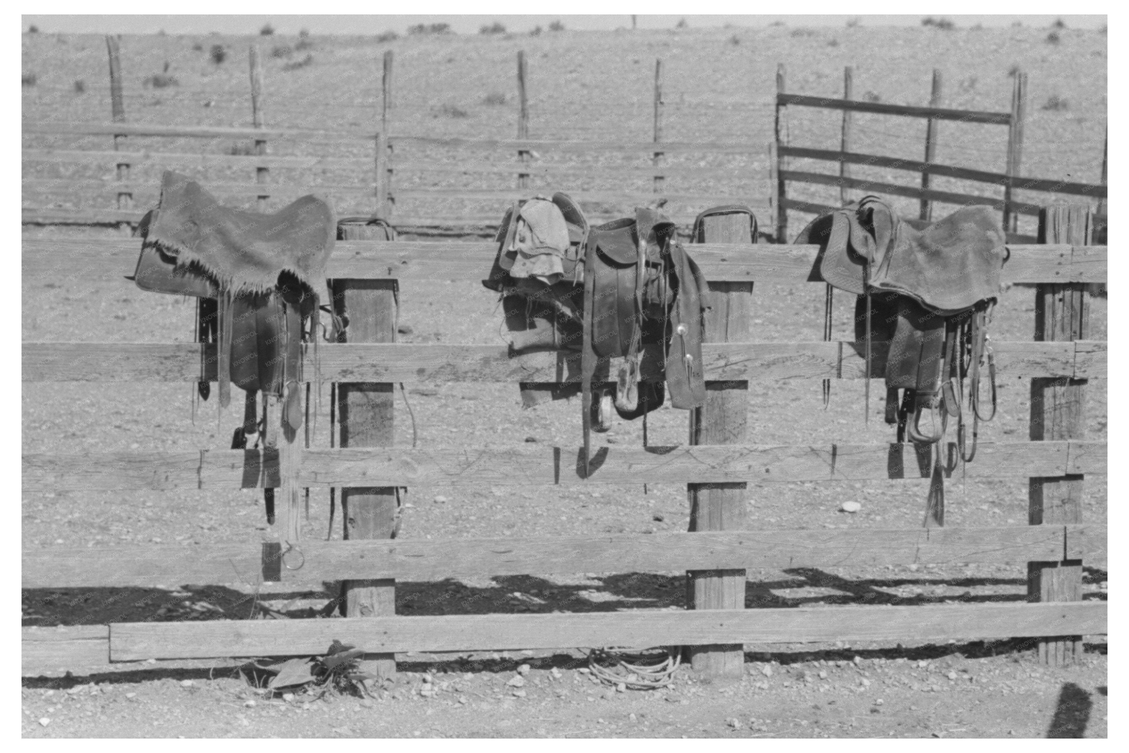 Saddles on Corral Fence Marfa Texas May 1939