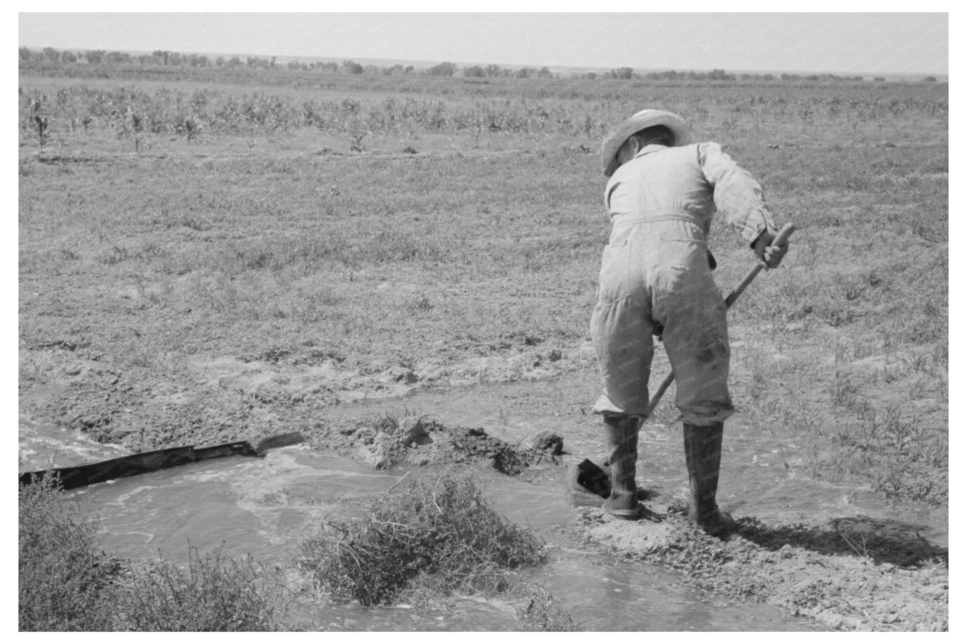 Farm Security Administration Irrigation Practices 1939