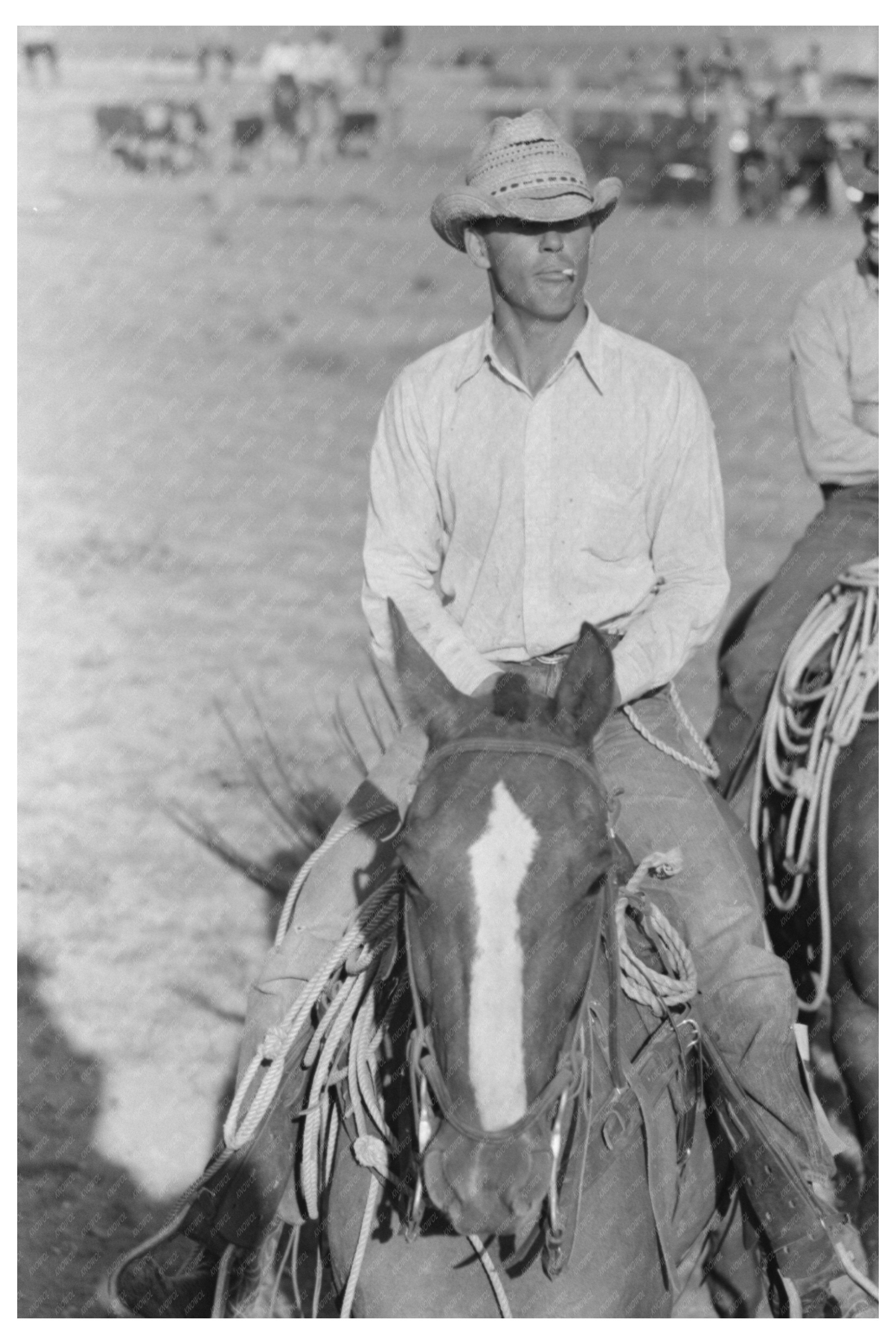 Cowboy Riding Horse at Bean Day Rodeo New Mexico 1939