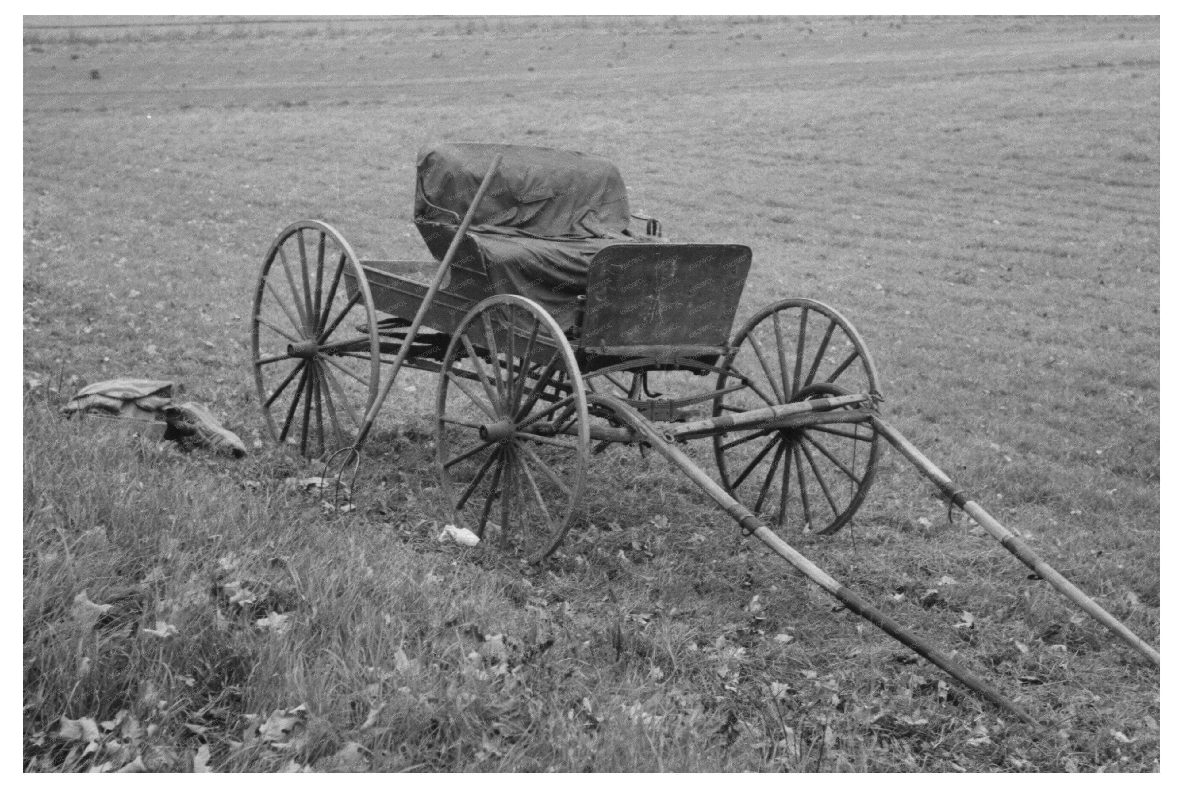 Vintage Farm Life in Northampton Massachusetts 1939
