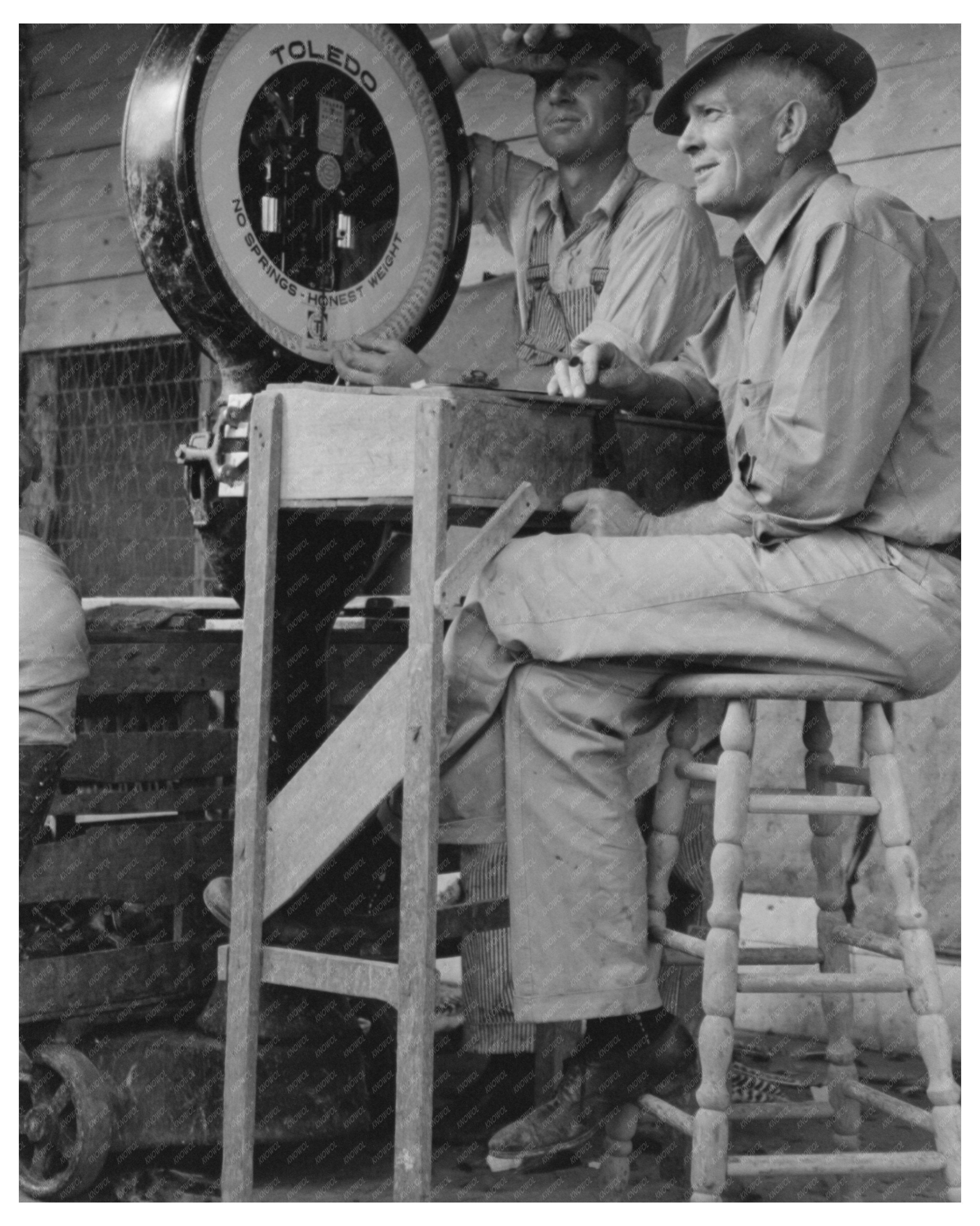 Poultry Cooperative Weigher Brownwood Texas 1939