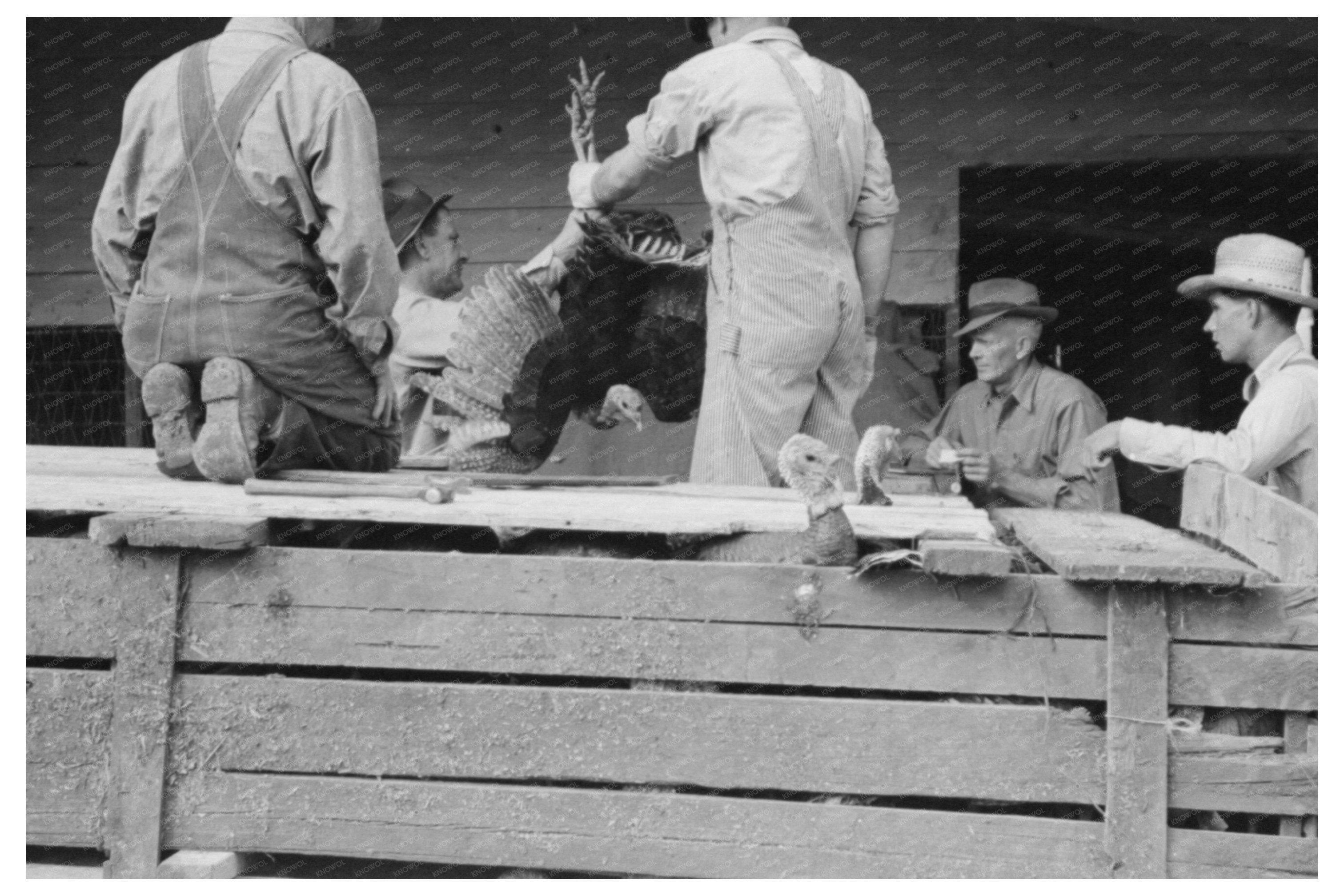 Unloading Turkeys at Poultry Cooperative Brownwood Texas 1939