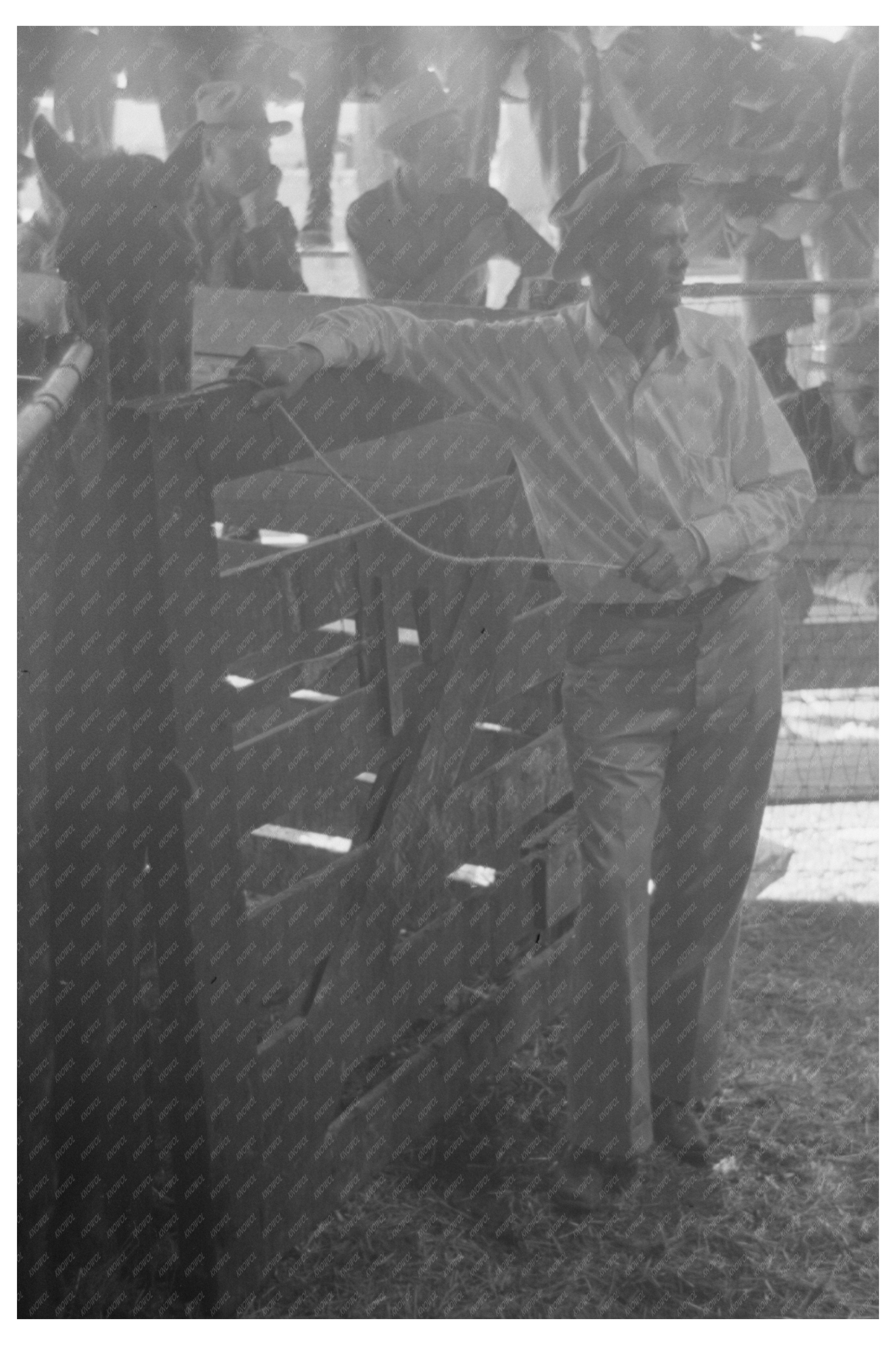 Vintage Horse Auction in San Angelo Texas 1940