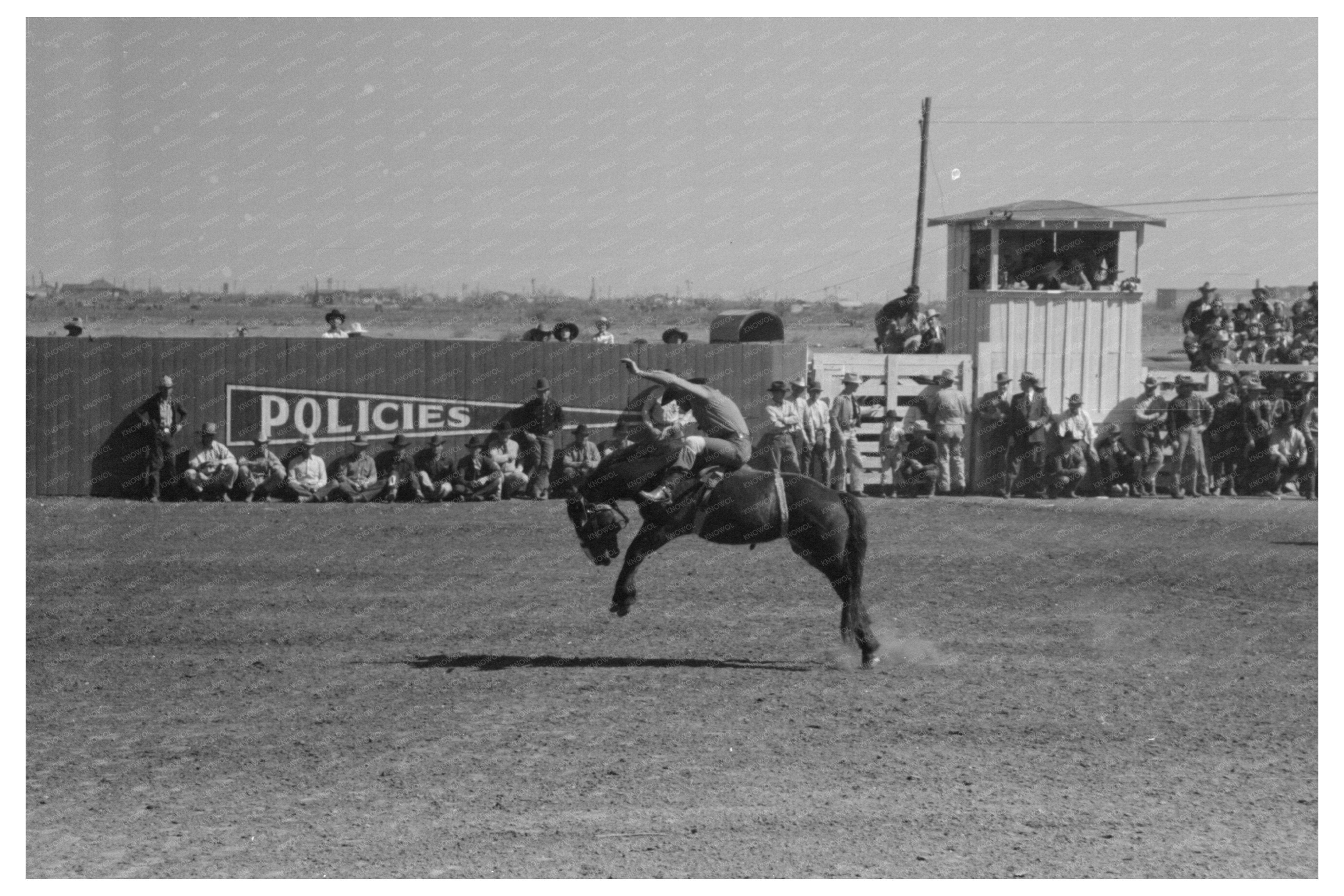 Rodeo Riding Demonstration San Angelo Texas March 1940