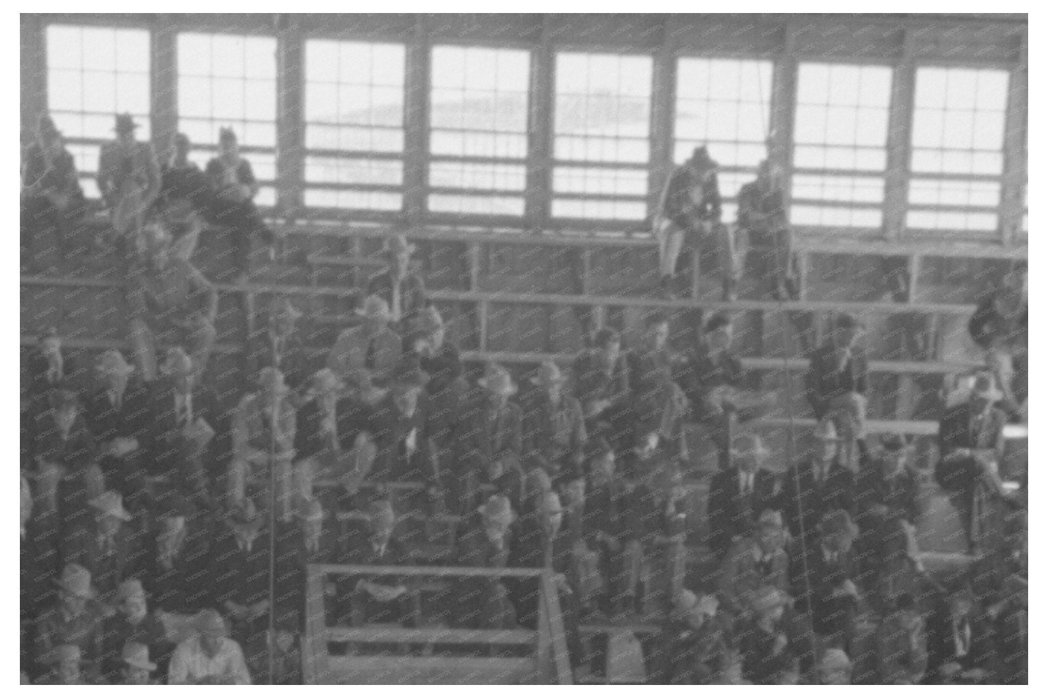 San Angelo Fat Stock Show Grand Champion Bull Auction 1940