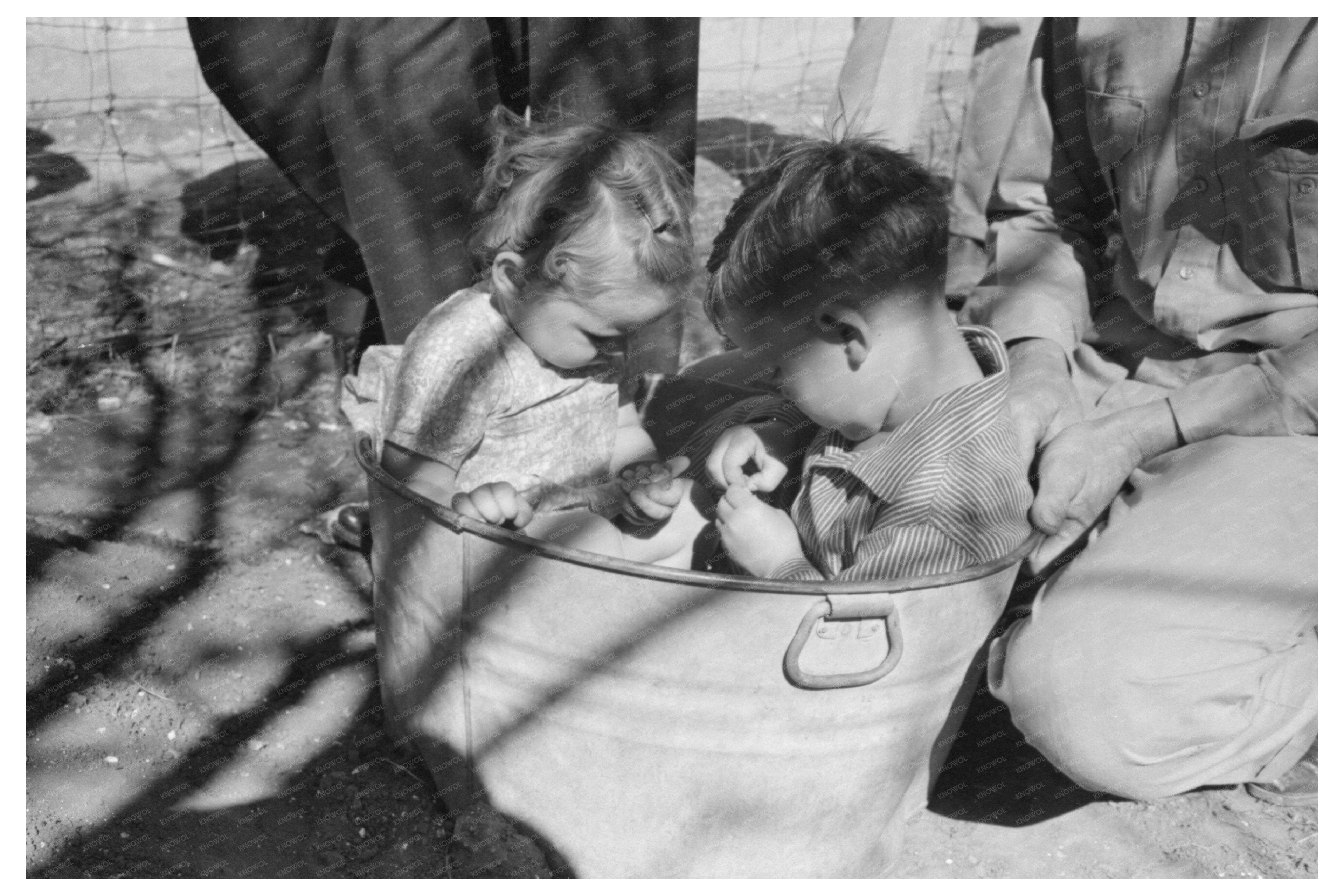 Farm Security Administration Seed Bed Demonstration 1940