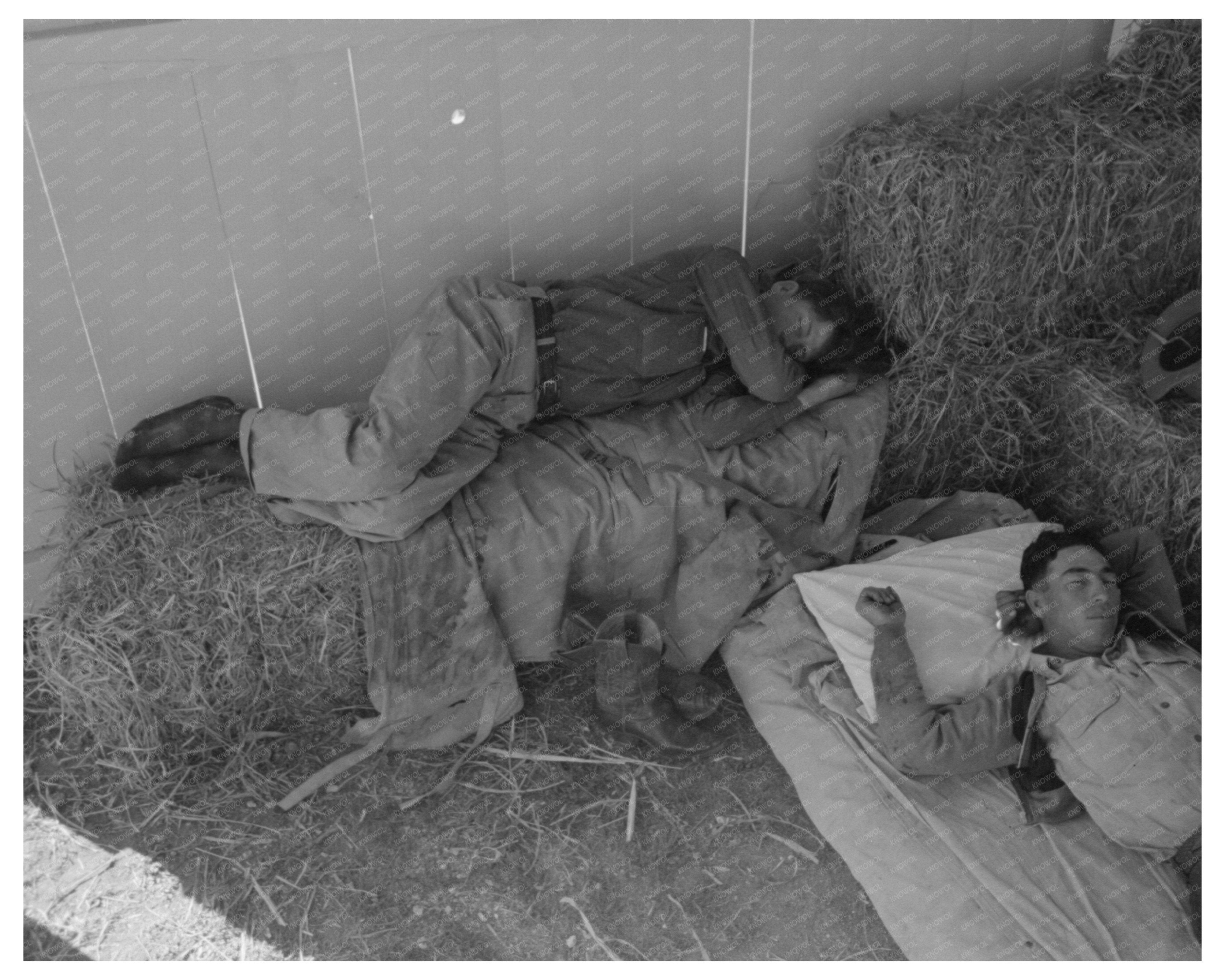 Cowboys Resting in Barn at San Angelo Fat Stock Show 1940