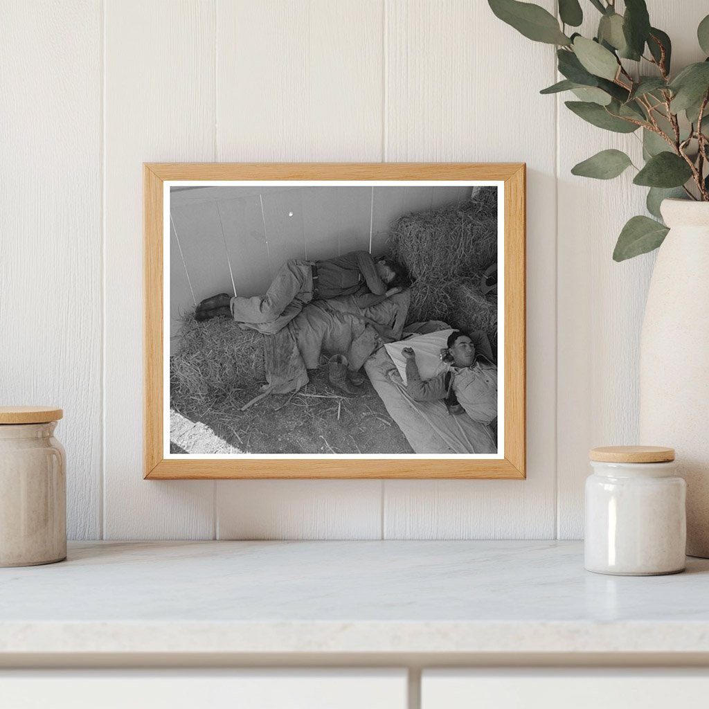 Cowboys Resting in Barn at San Angelo Fat Stock Show 1940