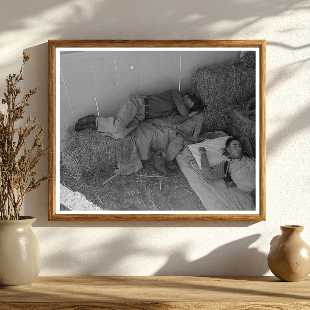 Cowboys Resting in Barn at San Angelo Fat Stock Show 1940