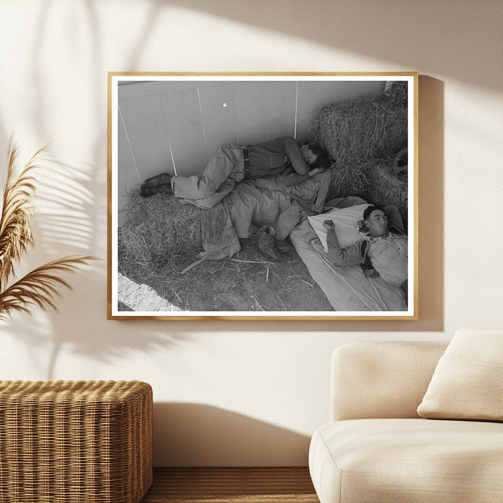 Cowboys Resting in Barn at San Angelo Fat Stock Show 1940