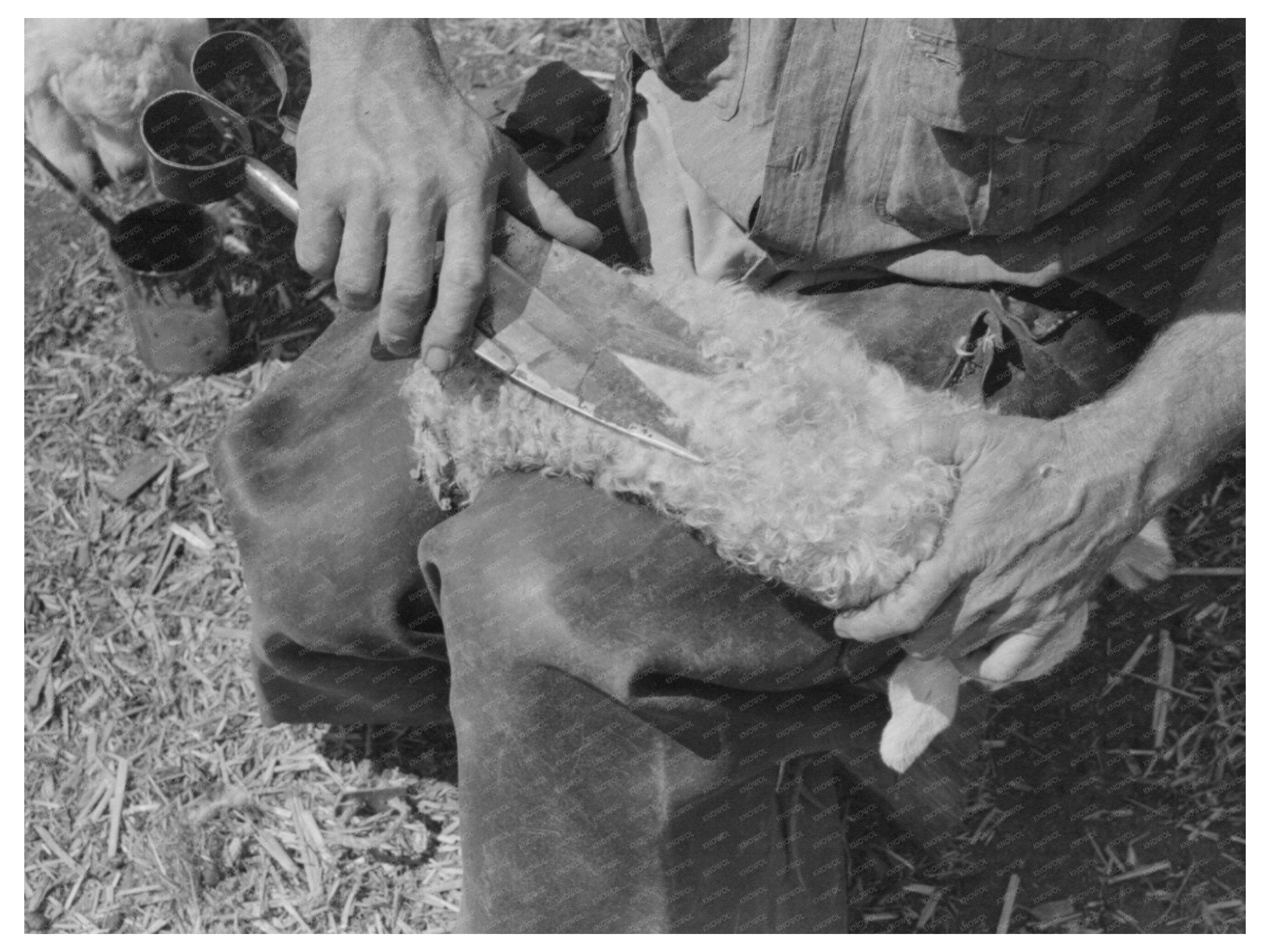 Kimble County Texas Ranch Scene March 1940