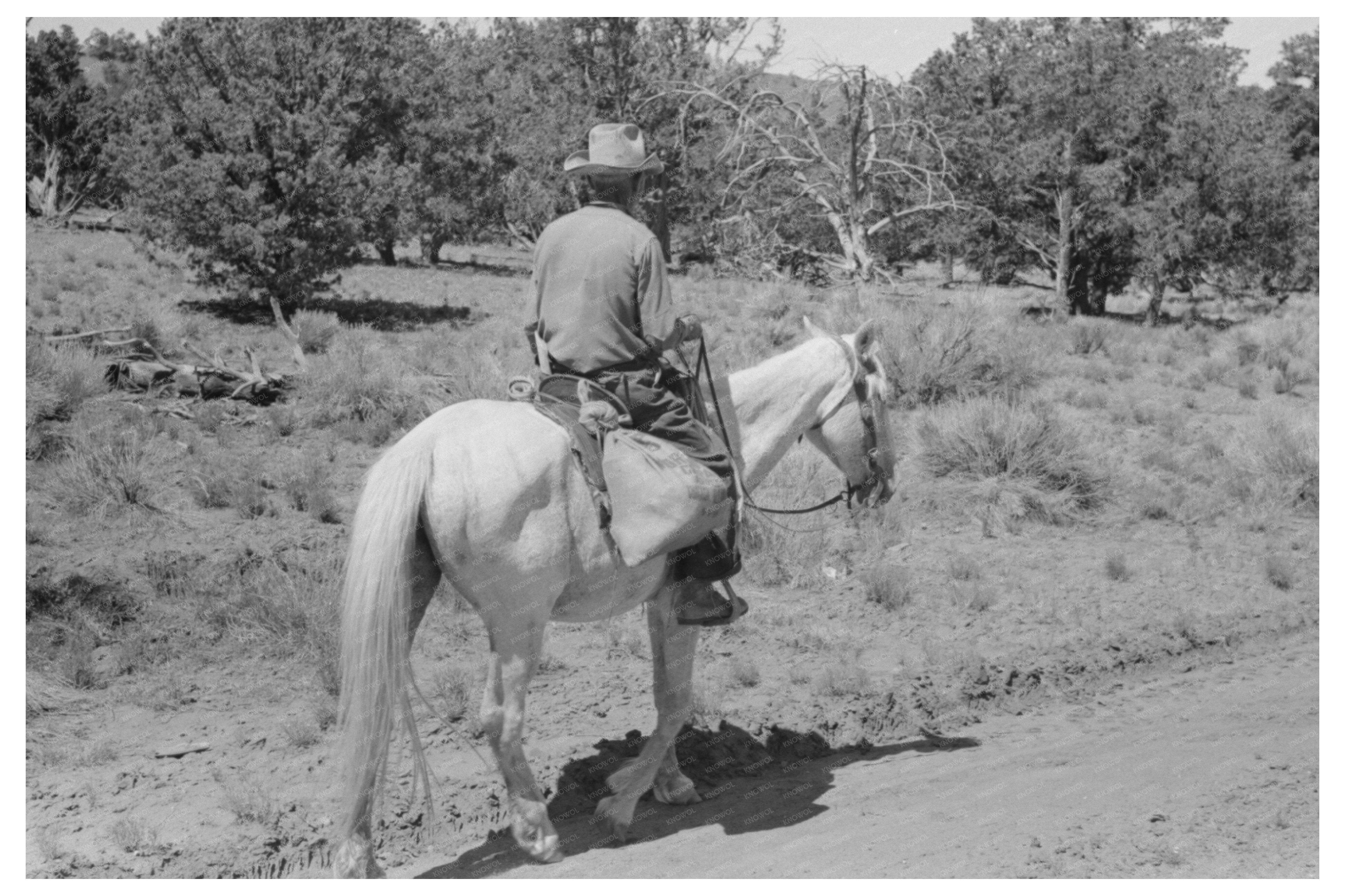 Homesteader Returns Home in Pie Town New Mexico 1940