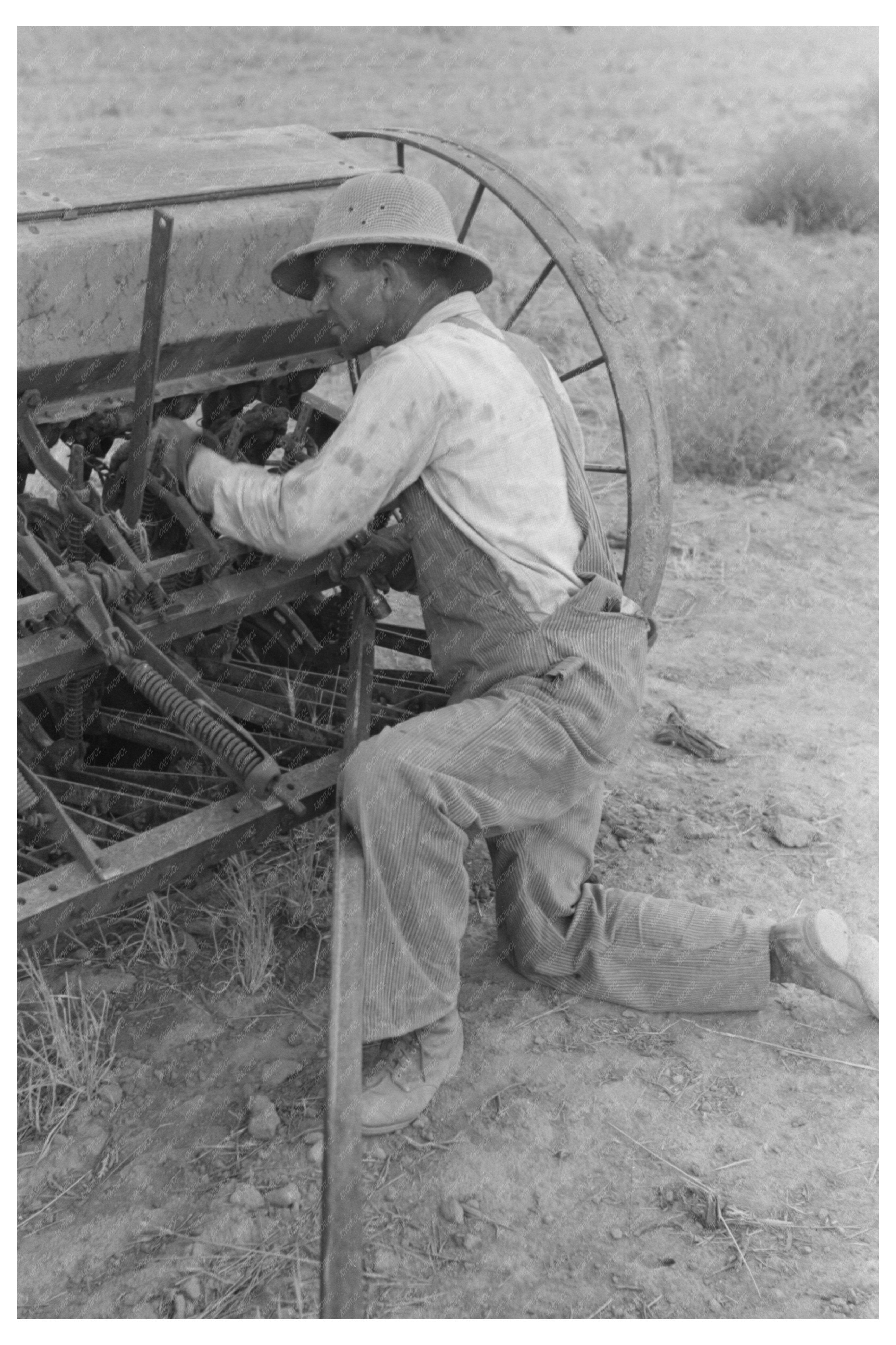 Mormon Farmer at Cooperative Drill Oneida County Idaho 1940
