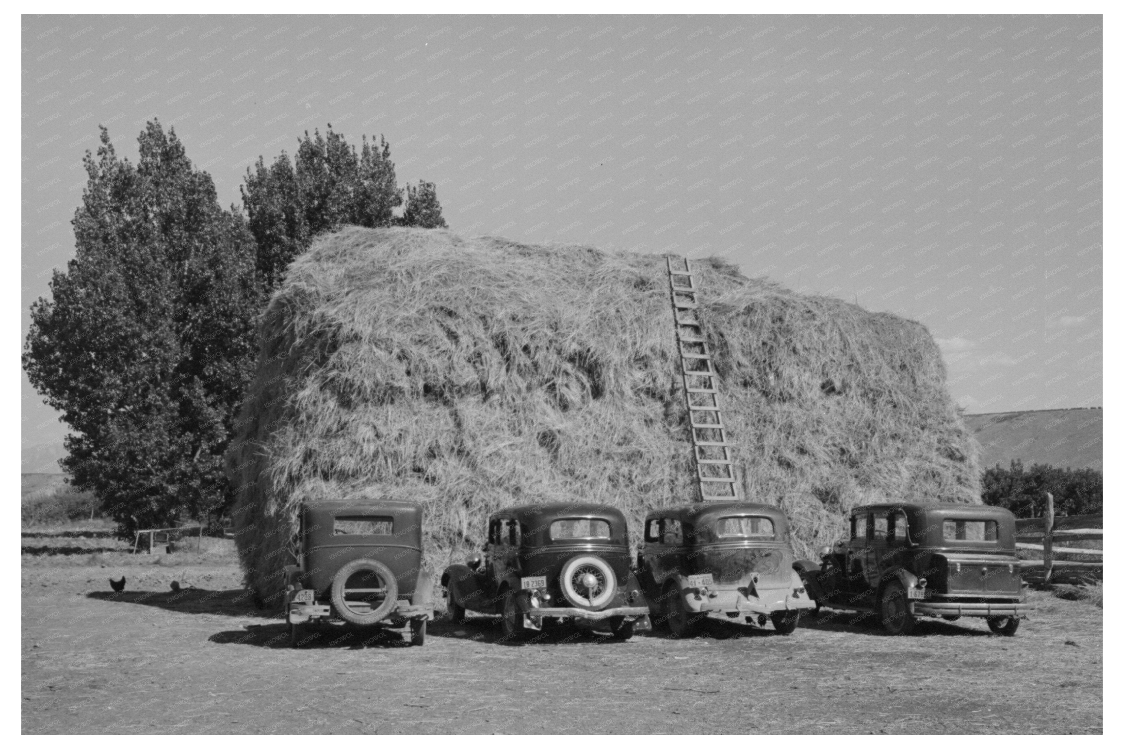 Haystack and Peach Picker Car in Delta County Colorado 1940