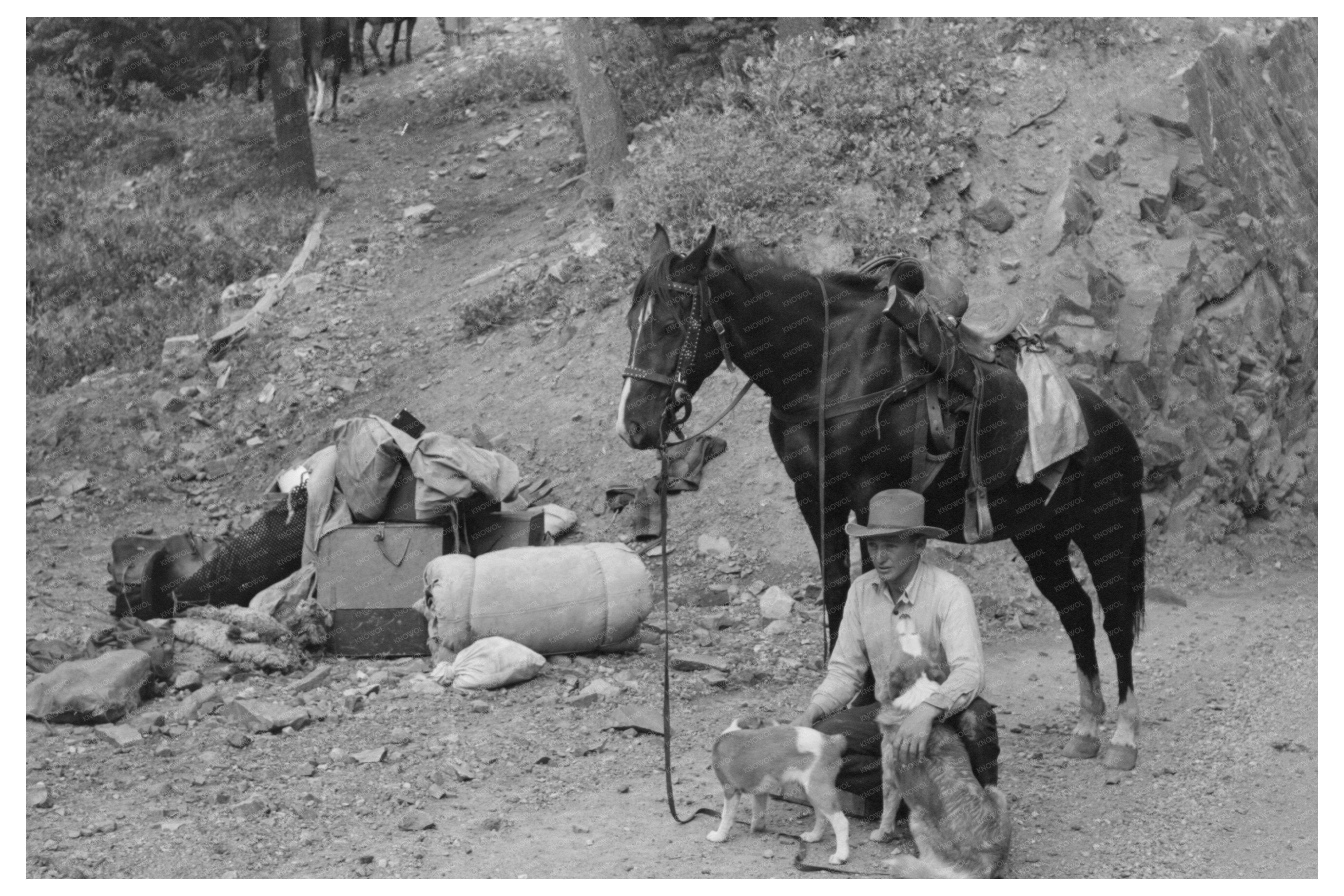 Sheepherder and Horse in Ouray County Colorado 1940