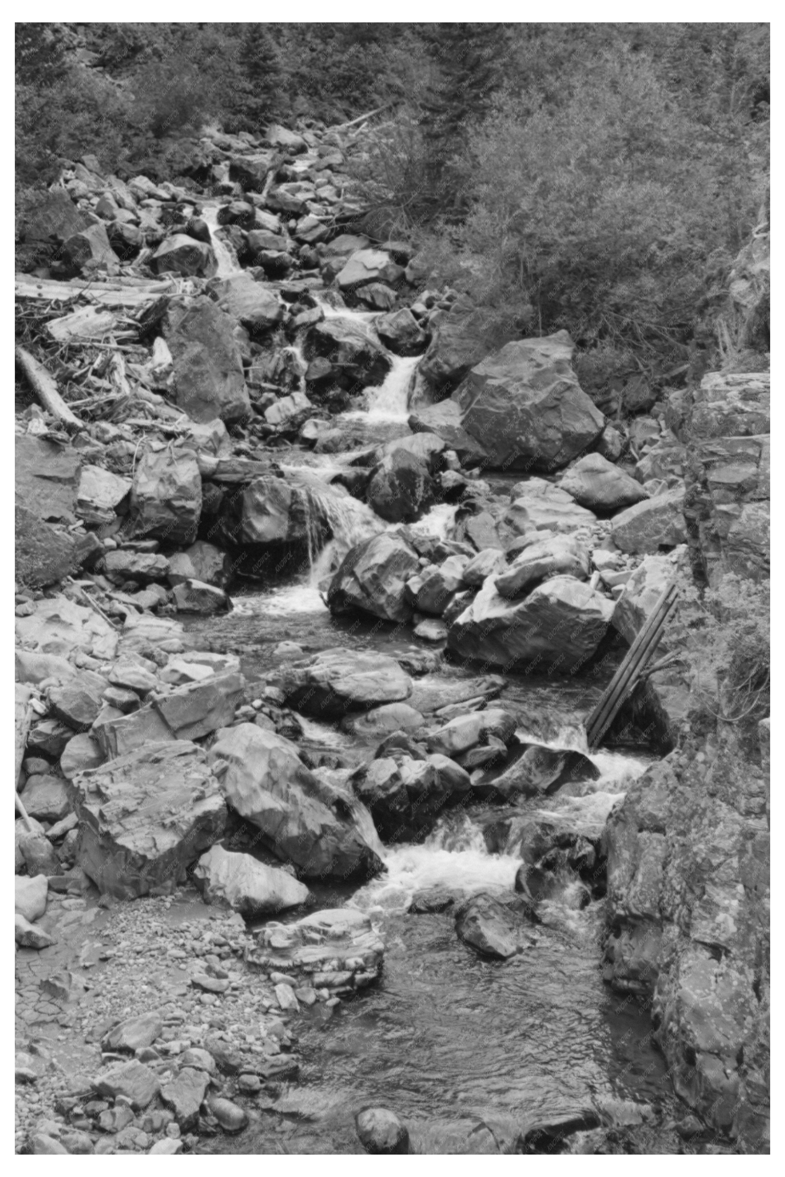 Mountain Stream in Ouray County Colorado September 1940