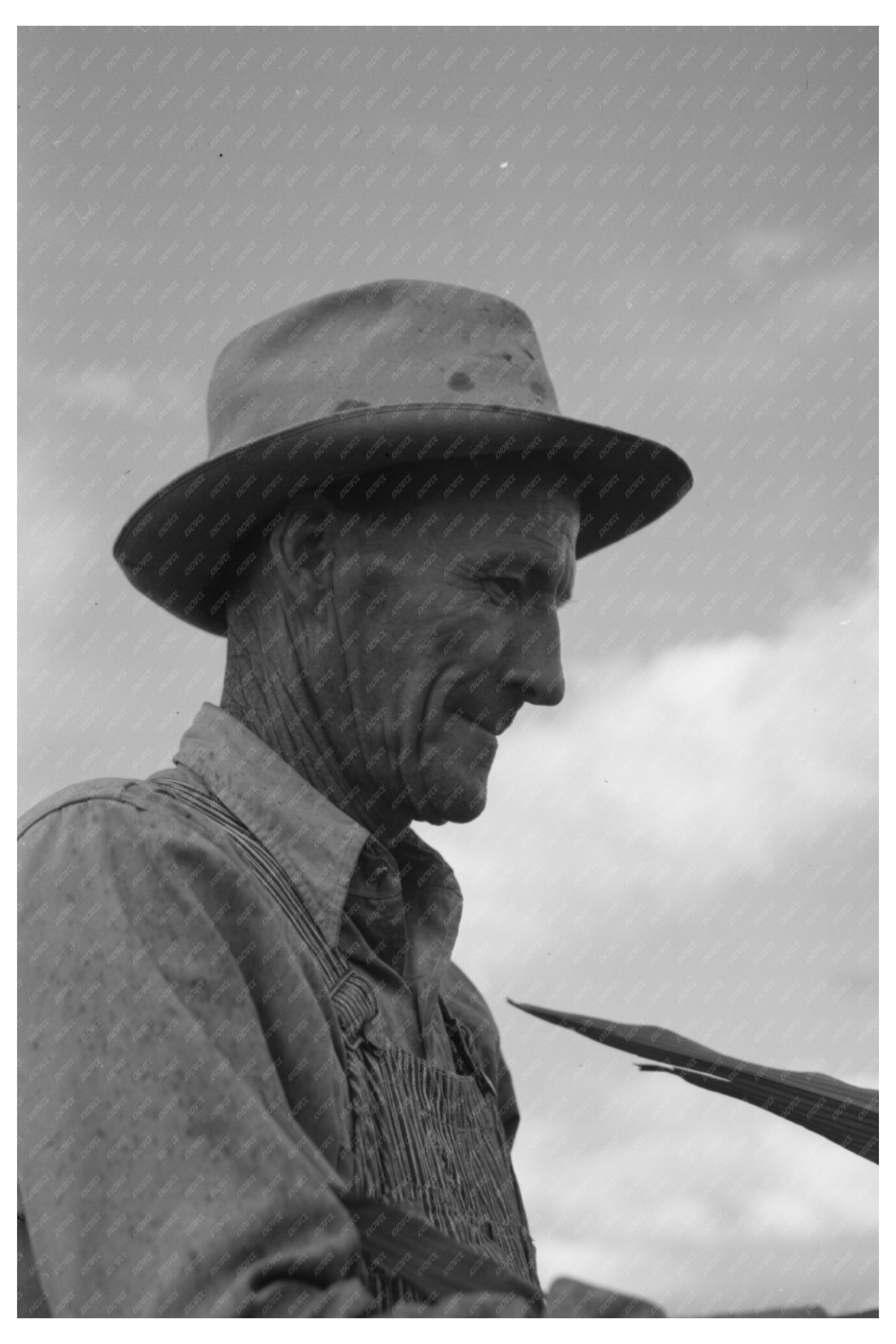 Mormon Farmer in Ivins Utah September 1940 Historical Image