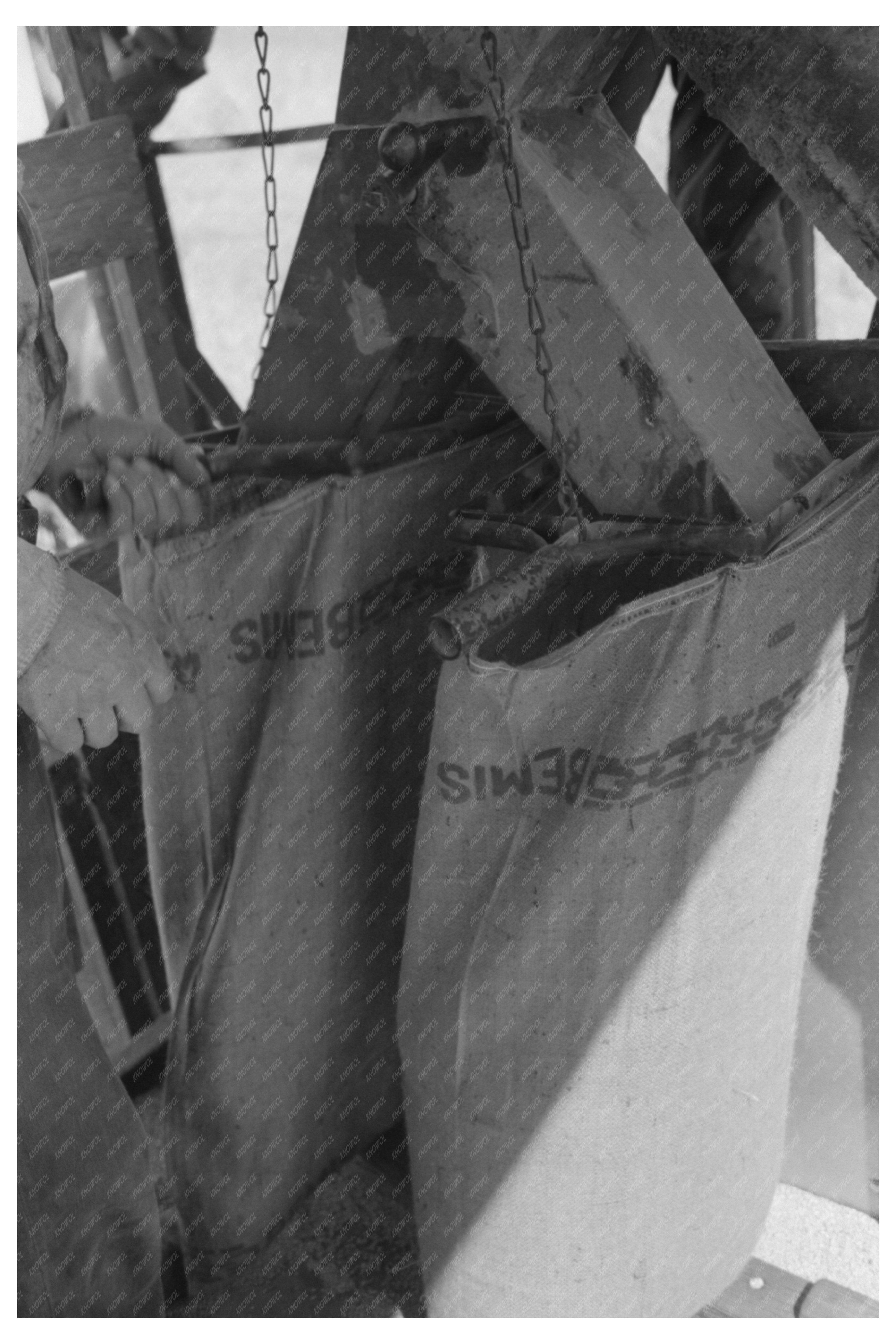 Walla Walla County Wheat Harvest Workers 1941