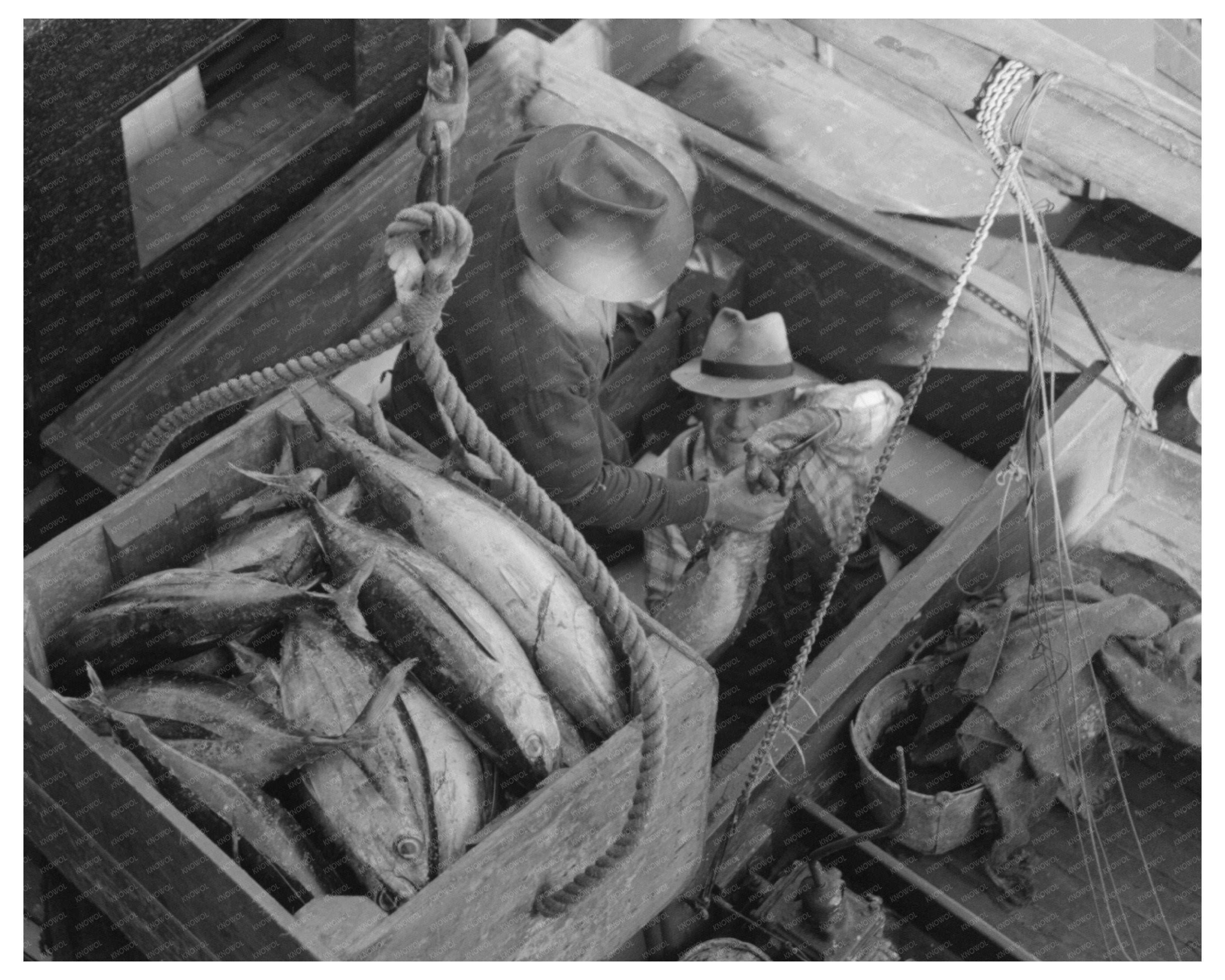 Tuna Unloading at Columbia River Packing Association 1941