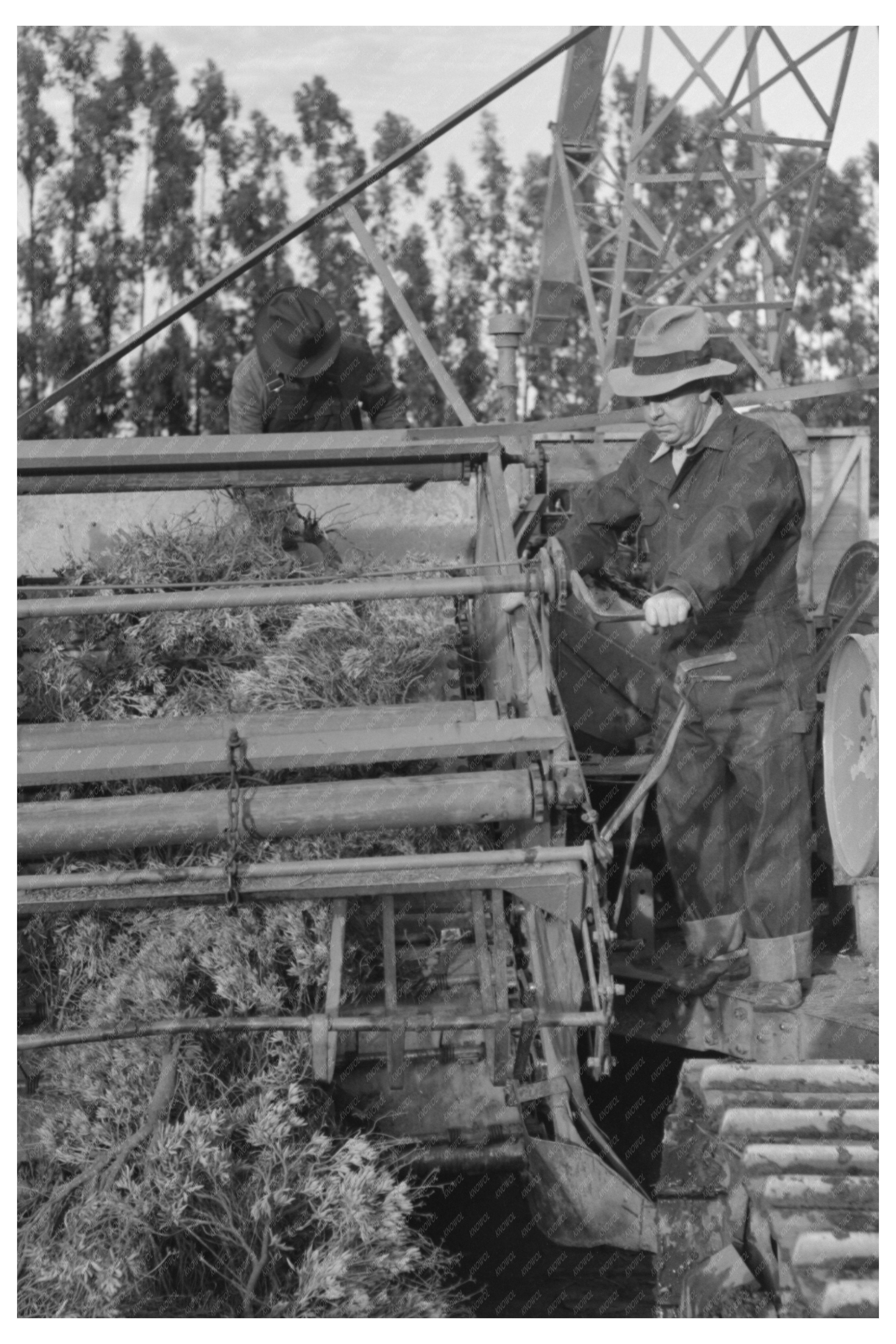 Vintage Guayule Transport Machine December 1941