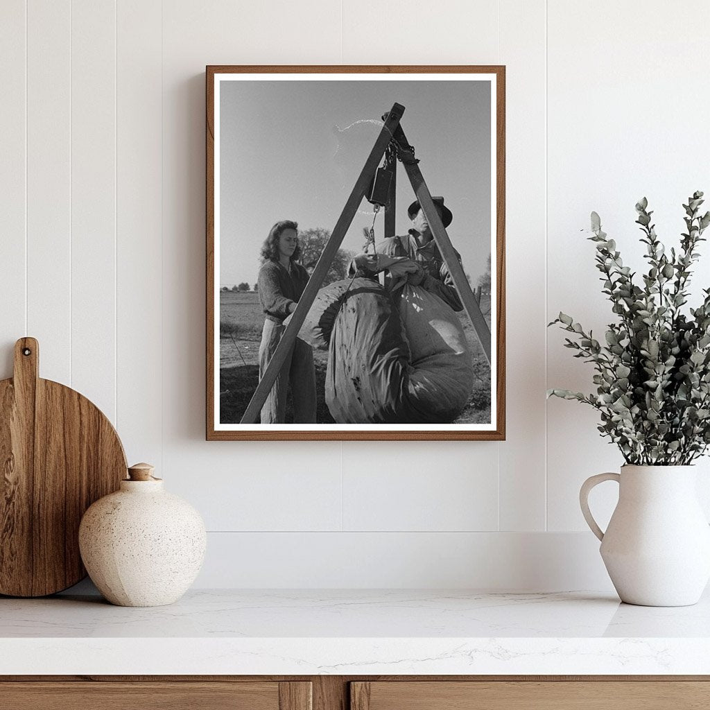 Weighing Cotton in Tulare County California March 1942