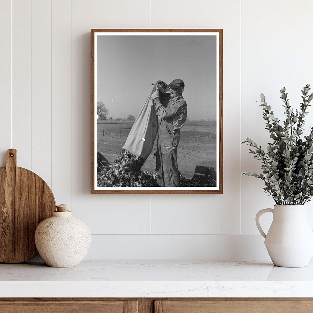 Cotton Picker in Tulare County California March 1942