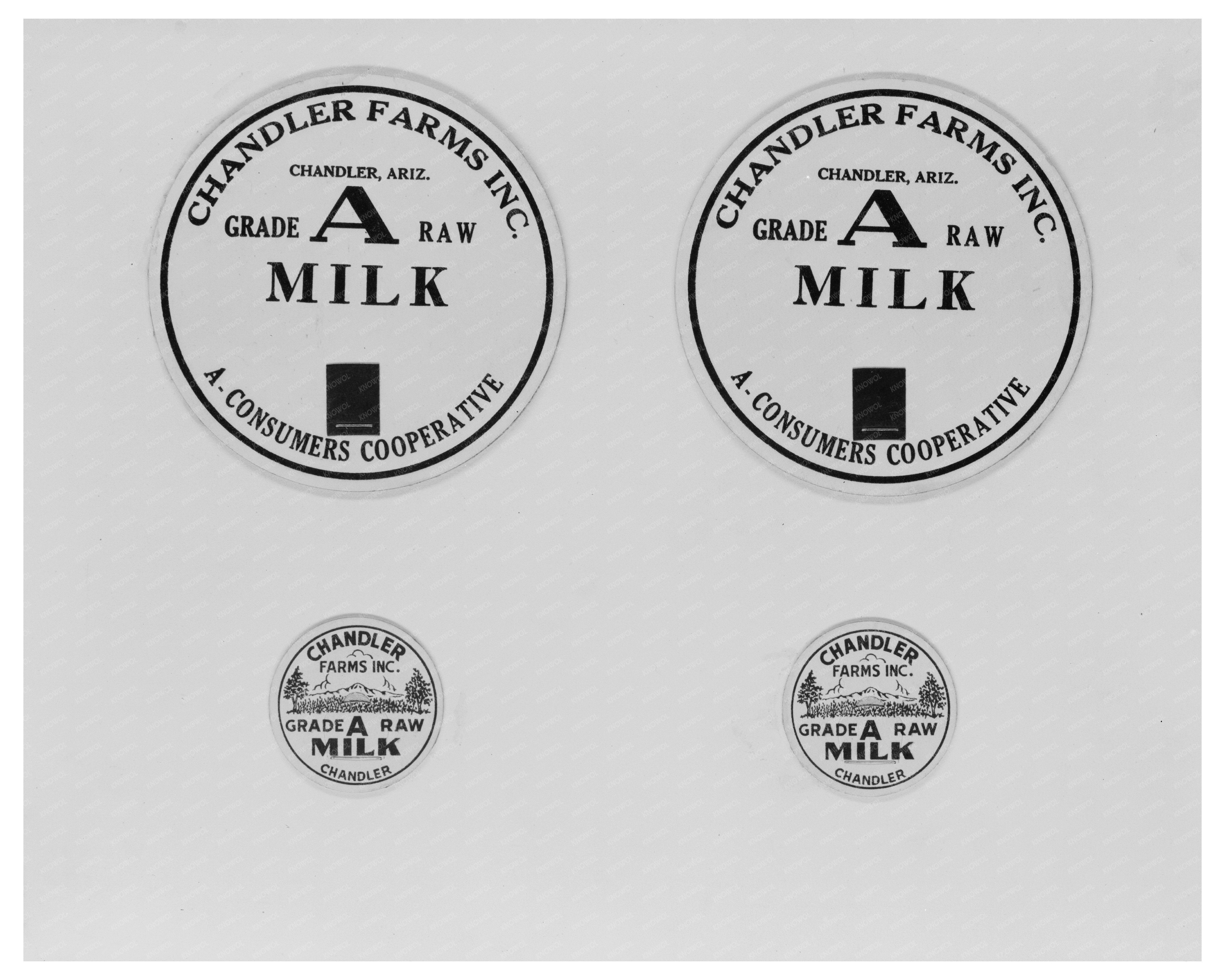 1940 Vintage Chandler Arizona Dairy Farming Milk Caps Image