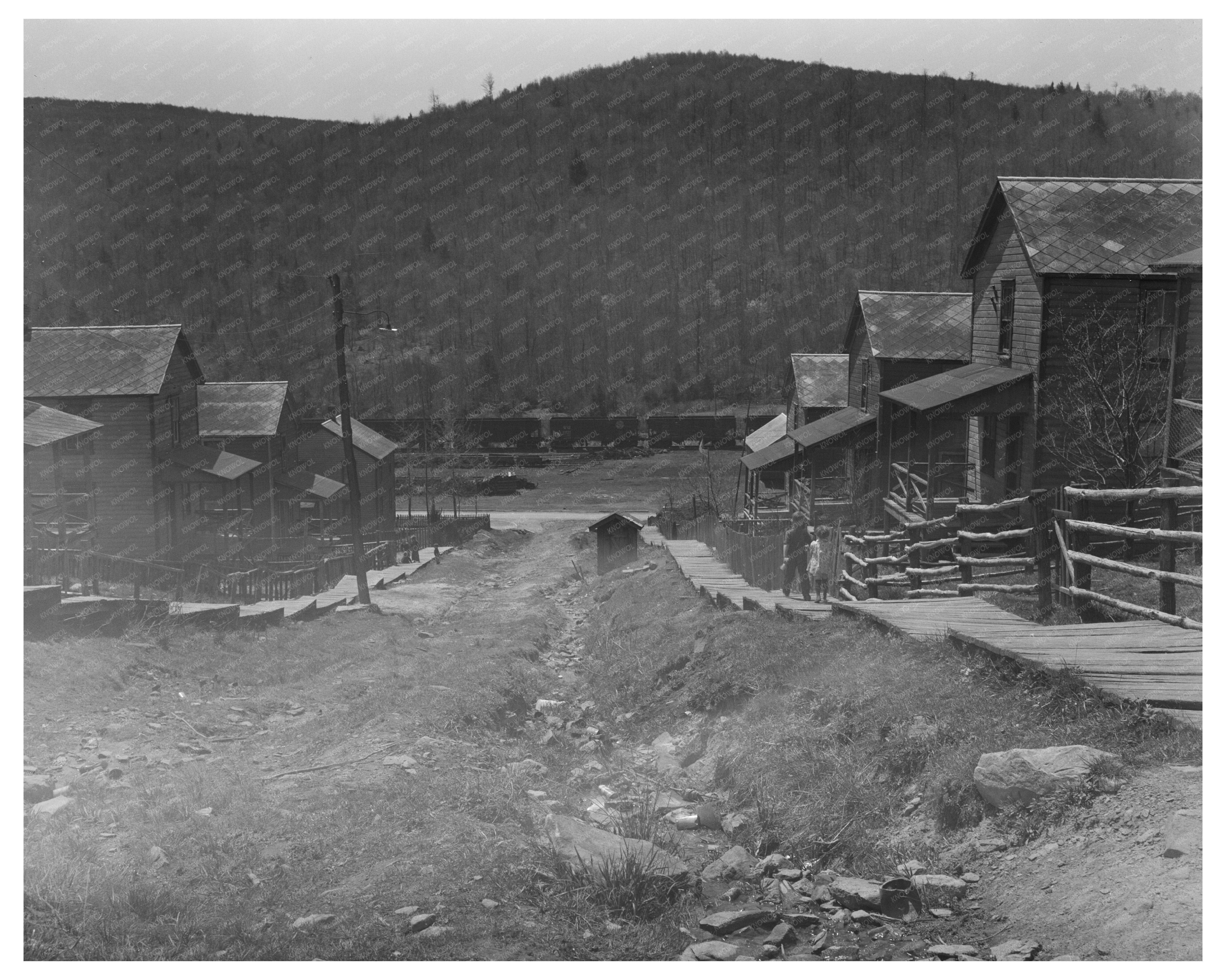 September 1942 Park County Montana Oats Field Image