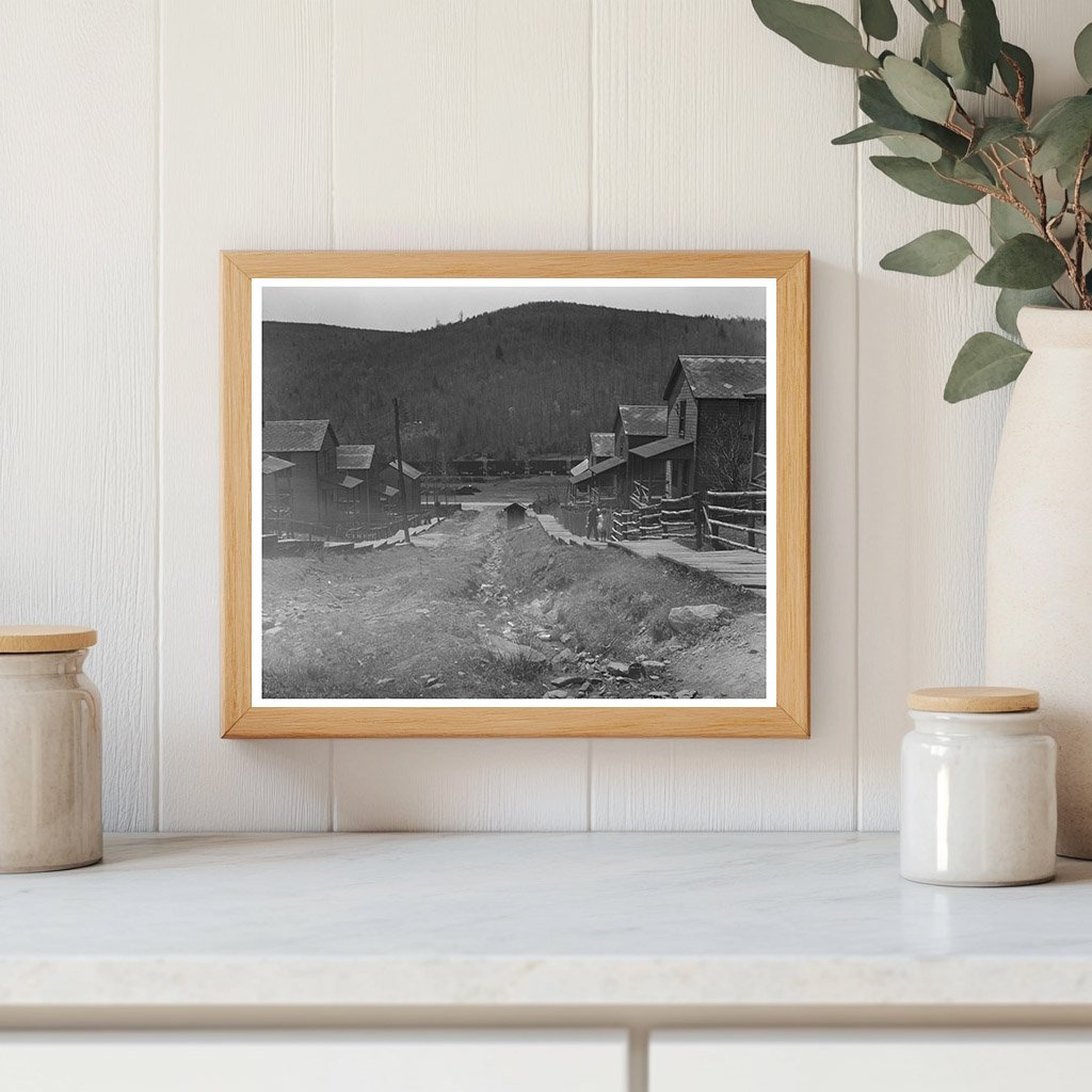 September 1942 Park County Montana Oats Field Image