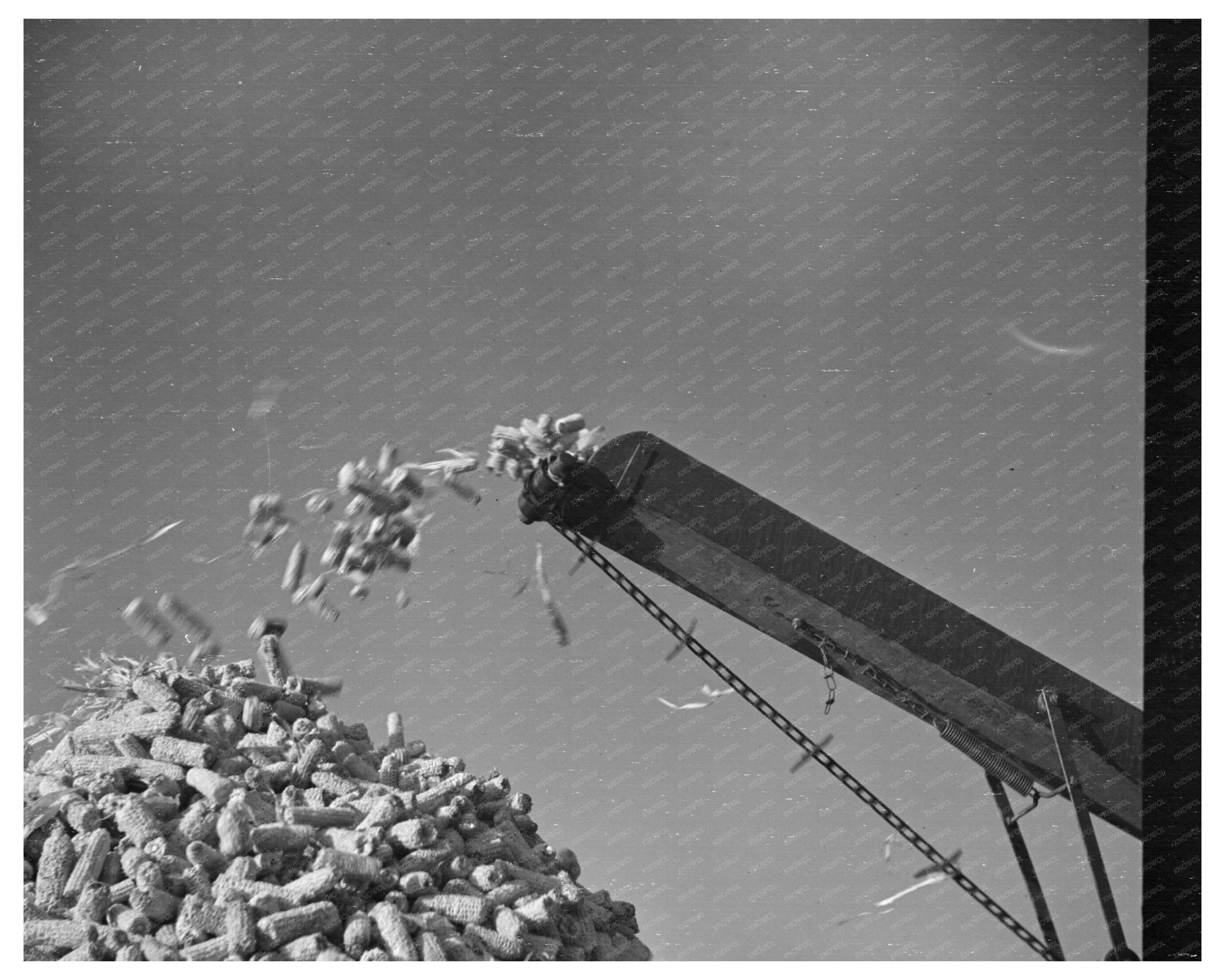 Vintage Cornsheller in Action January 1937 Illinois