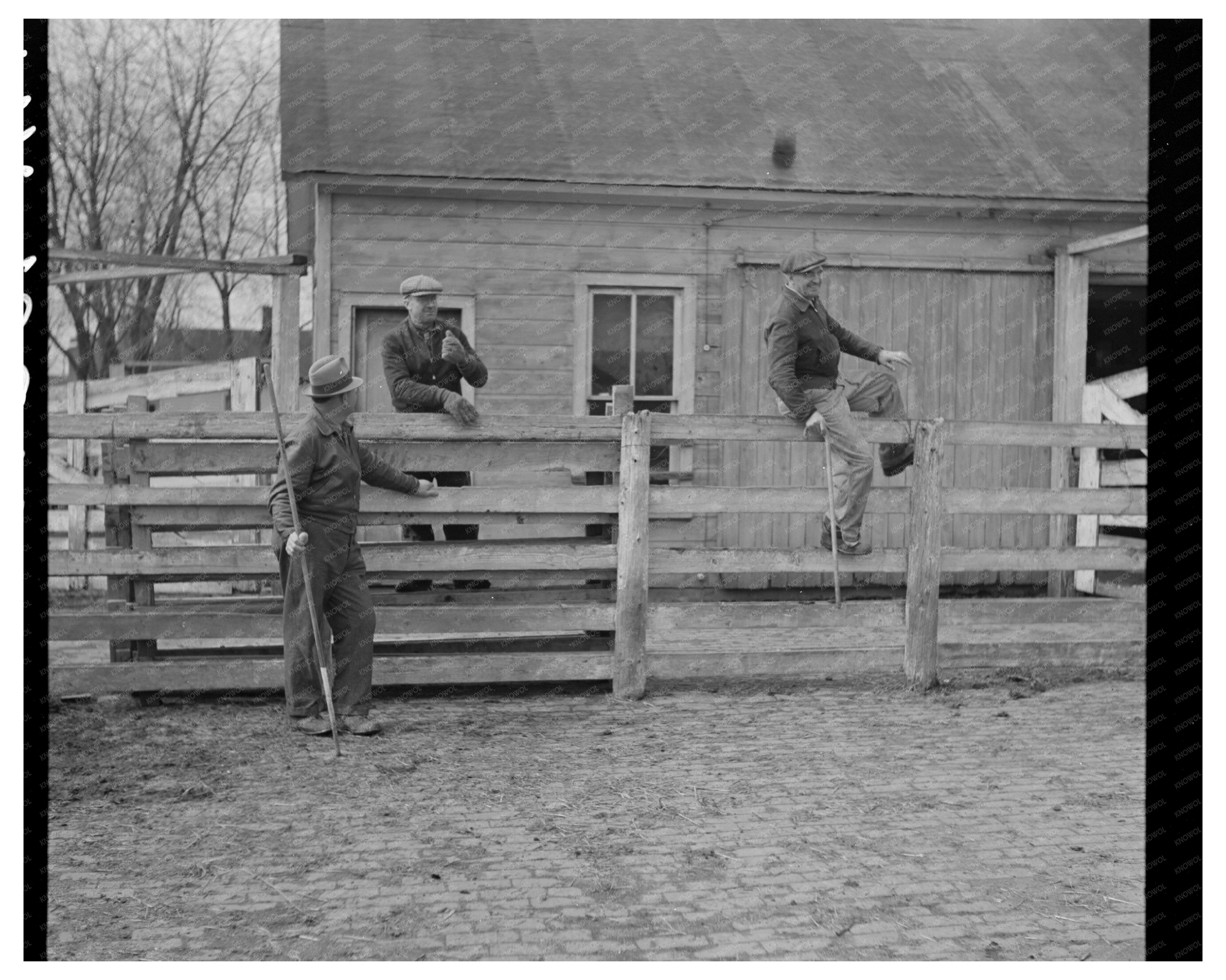 Aledo Illinois Stockyard Attendants March 1937