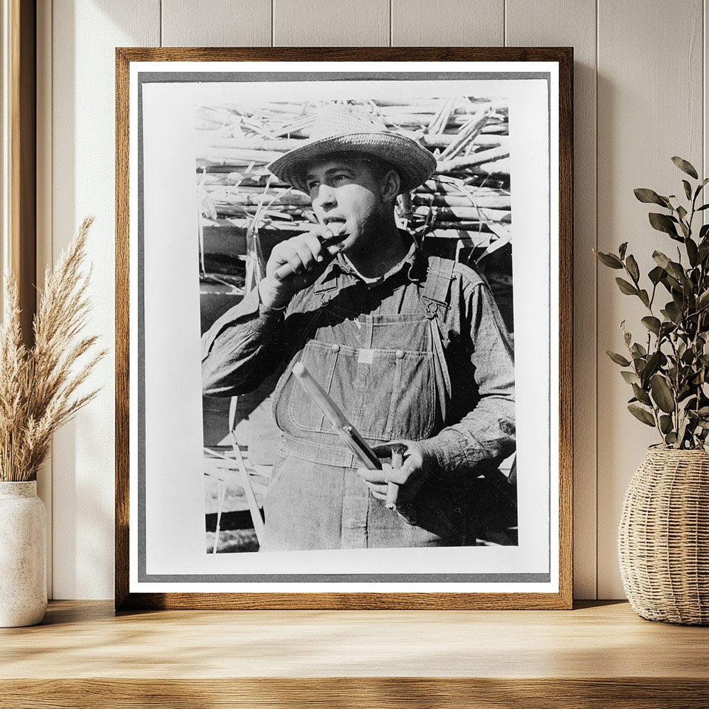 Sugarcane Worker in Louisiana October 1938 Vintage Photo