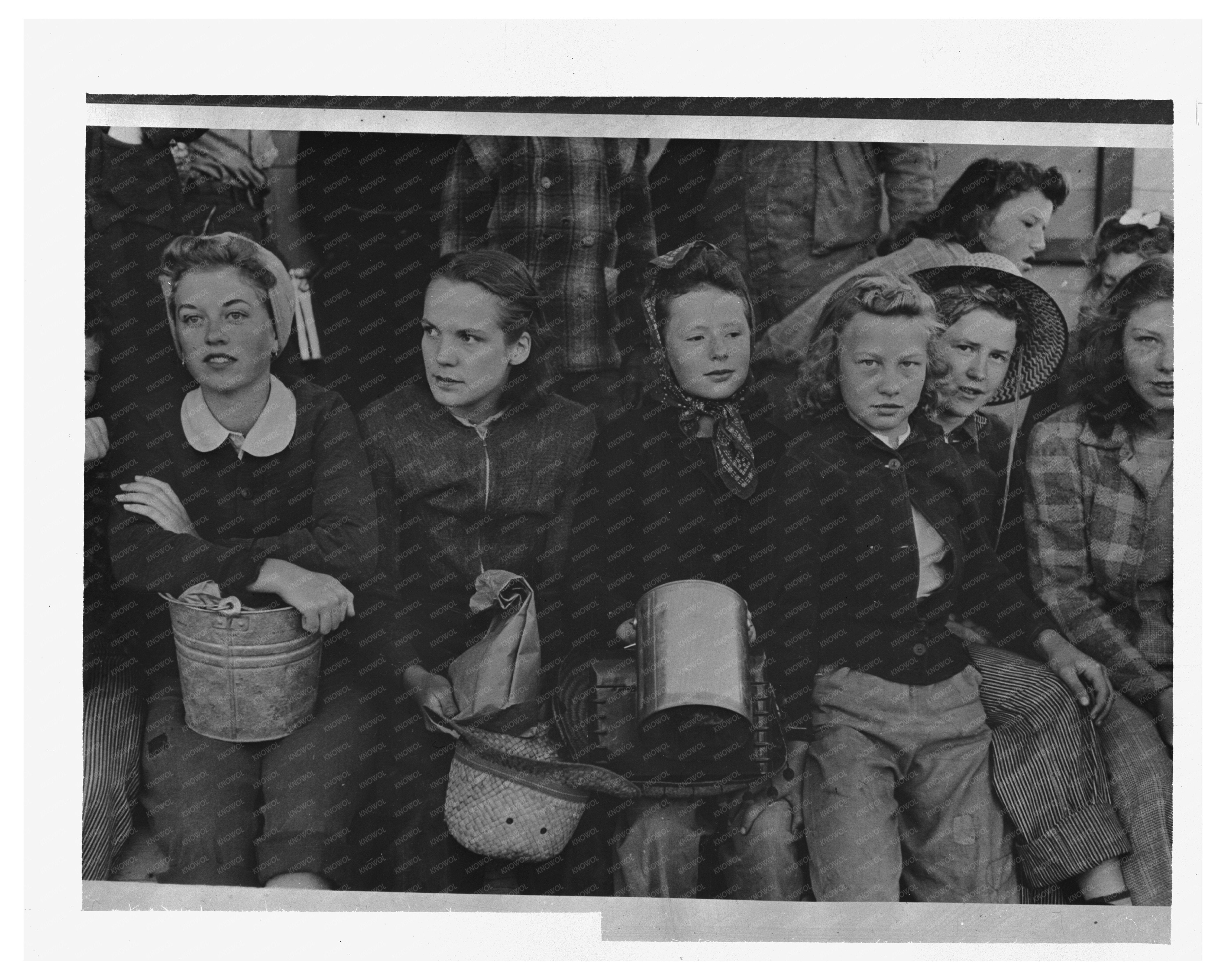 High School Girls Working in Idaho Pea Fields 1941
