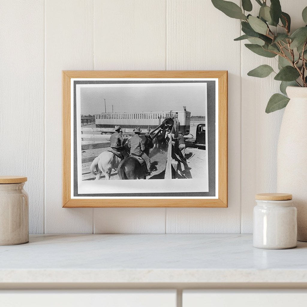 Cattle Loading for Shipment March 1942 Brawley California