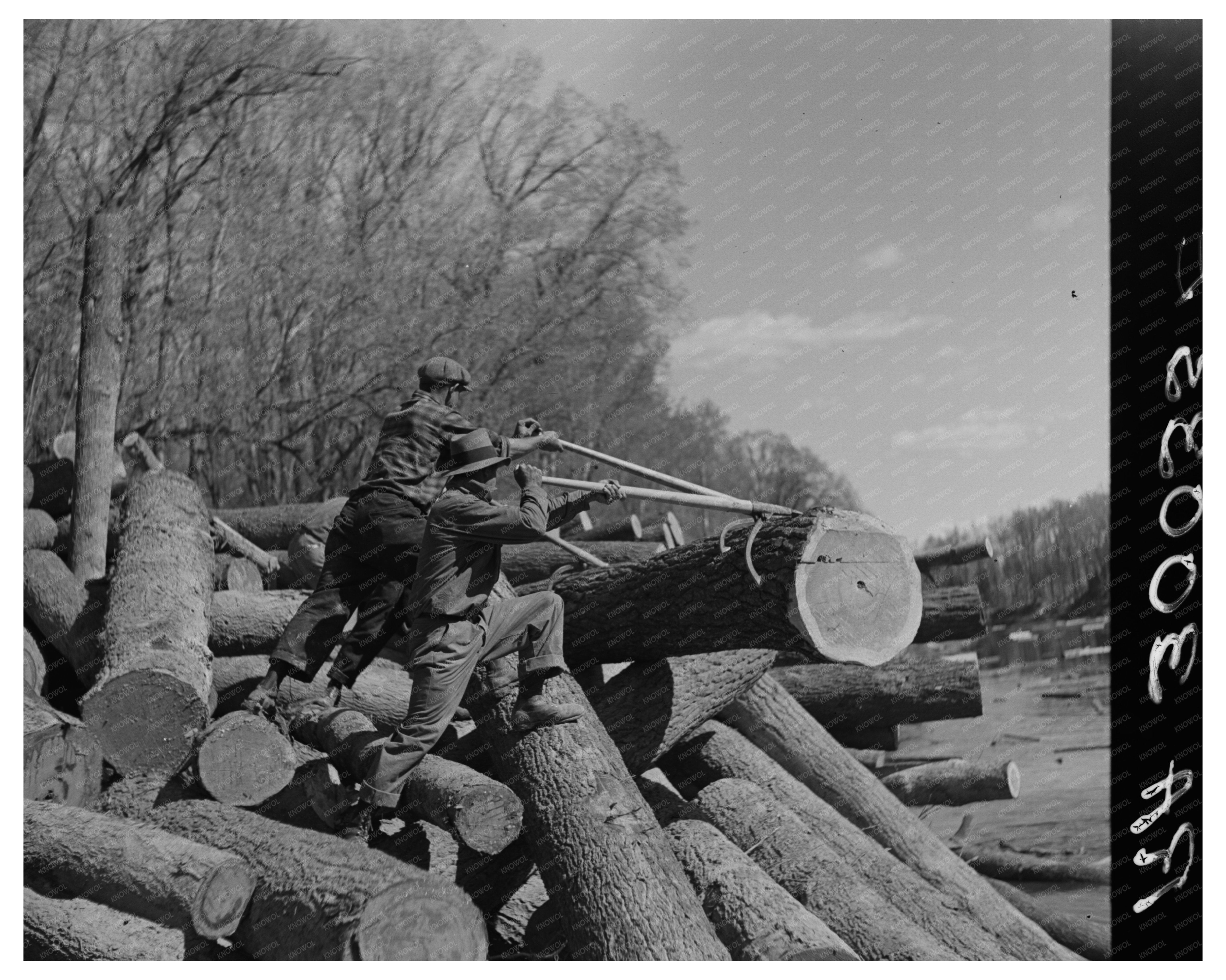 Lumberjack Maneuvering Logs Little Fork River Minnesota 1937