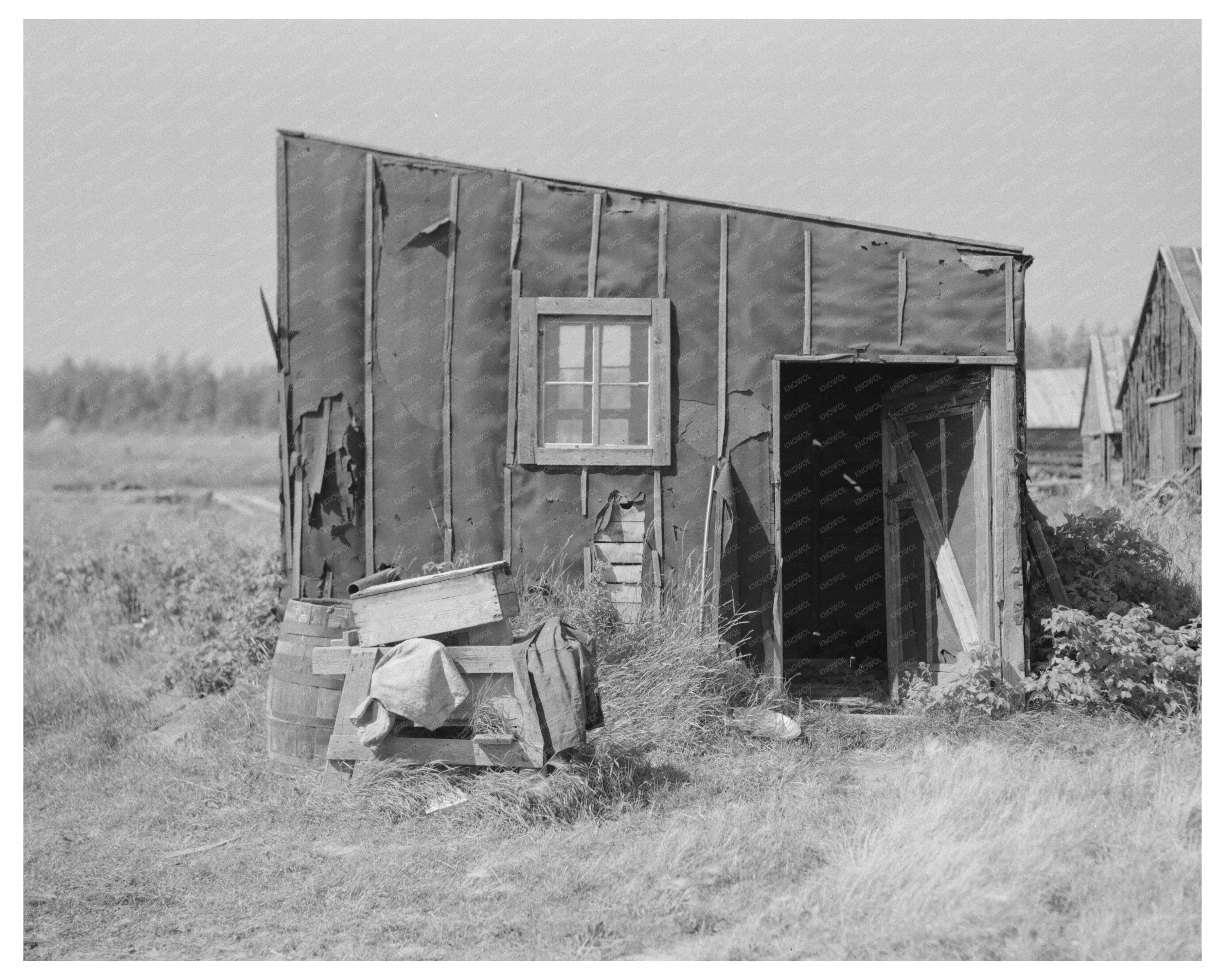 Tarpaper Dwelling in Abandoned Lumber Camp Gemmel 1937